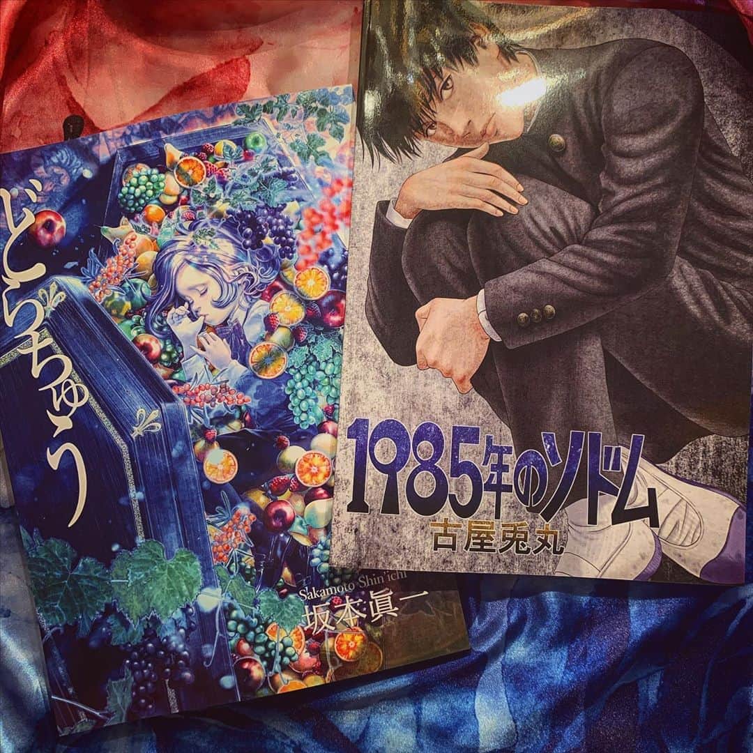 のインスタグラム：「憧れの古屋兎丸先生との夢のようなコラボが実現しました。 全冊、古屋先生と僕のサイン入り。 ヴァニラ画廊にて限定販売となります。  #ヴァニラ画廊 #古屋兎丸#furuyausamaru #坂本眞一#shinichisakamoto #どらちゅう#dorachuu https://store.shopping.yahoo.co.jp/vanilla-gallery/2000000025636.html」