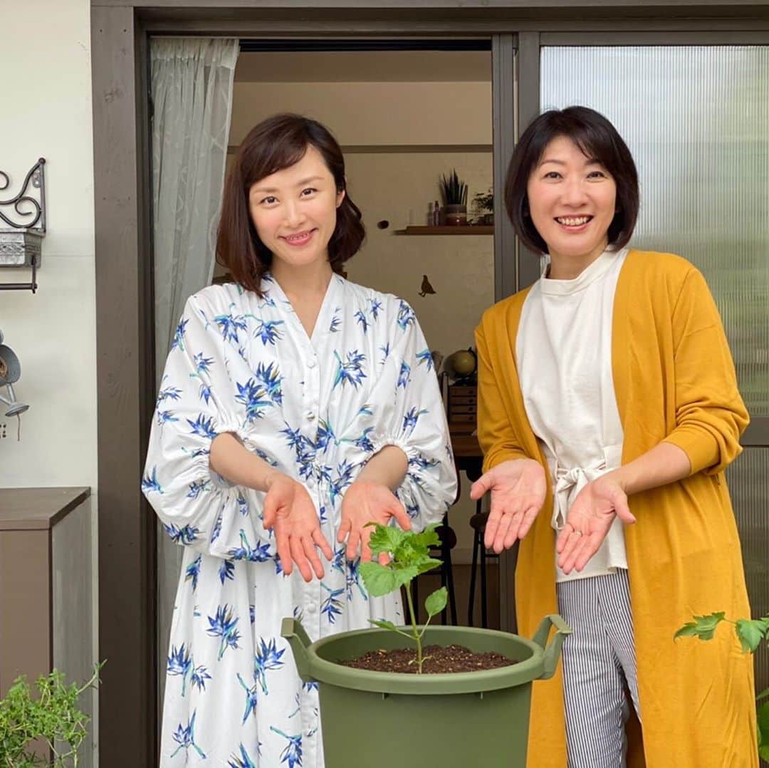 山口もえのインスタグラム：「大好きなタカさんと💕 植物を育ててると 心も元気になるよ✨ 自分で育てた野菜は格別な味🥦🍅🍆 家庭菜園始めてみませんか❓  ヒユナのベビーリーフは 枝豆とプチトマトを入れてサラダに🥗 とれたてジャガイモは 蒸してジャガバターにしたよ🥰  今回のやさいの時間は シソと葉ネギを育てます。  NHK-E「趣味の園芸 やさいの時間」 6月28日(日)午前8：00〜8:24  7月2日（木）午後0:00〜午後0:25  やさいの時間テキストも発売中📕  #やさいの時間#深町貴子#シソ#葉ネギ#プランター菜園」