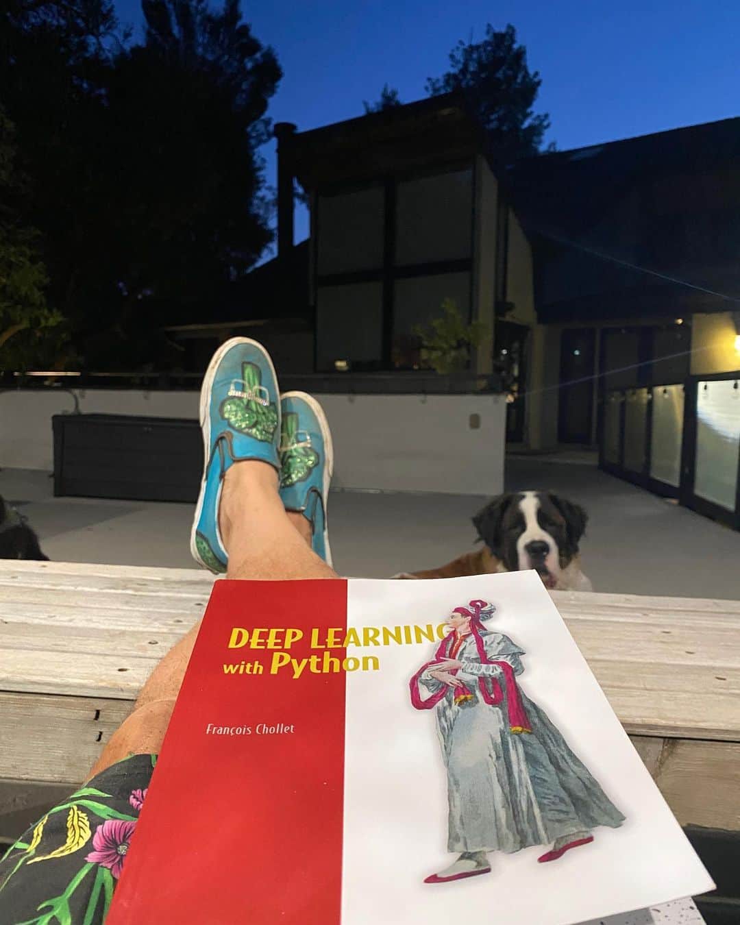 レッドフーのインスタグラム：「All the animals are fed. Time for some Deep Learning. #deeplearning #python」