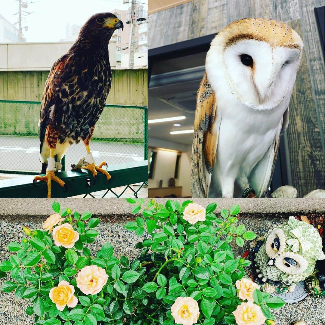宇徳敬子のインスタグラム