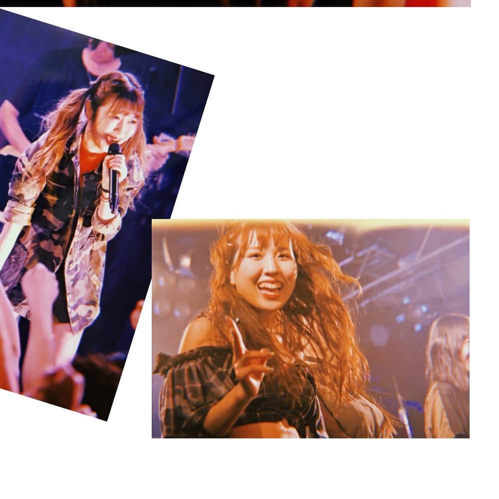 いとくとらのインスタグラム