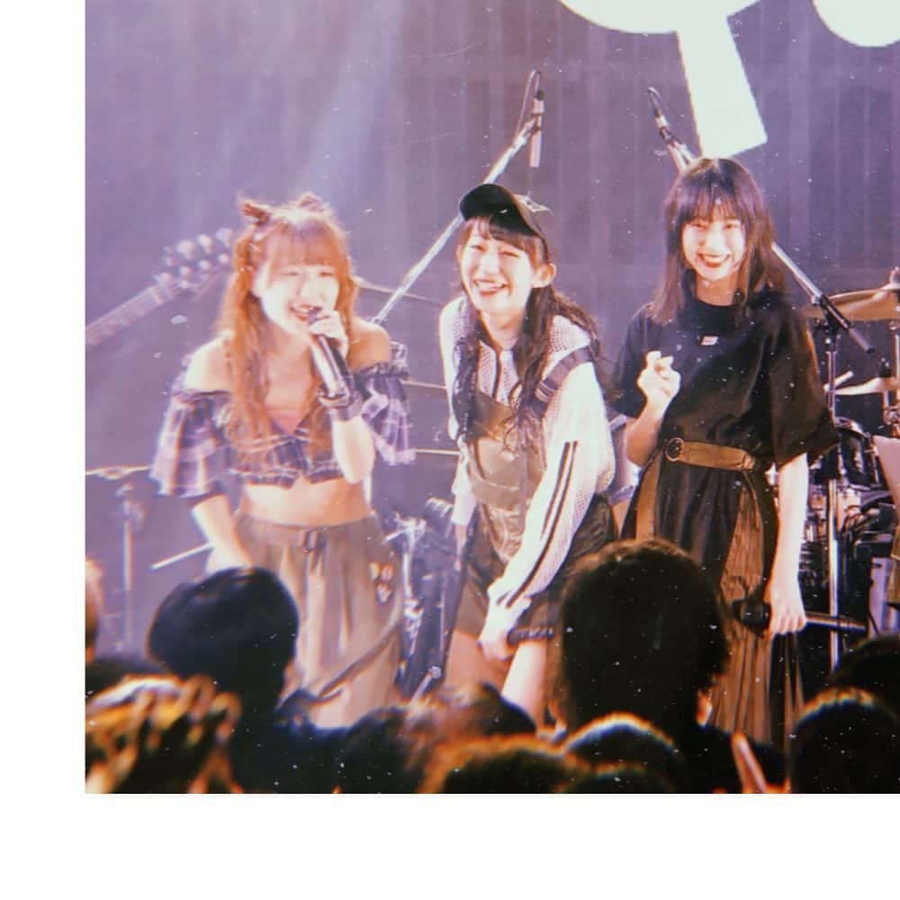 いとくとらのインスタグラム