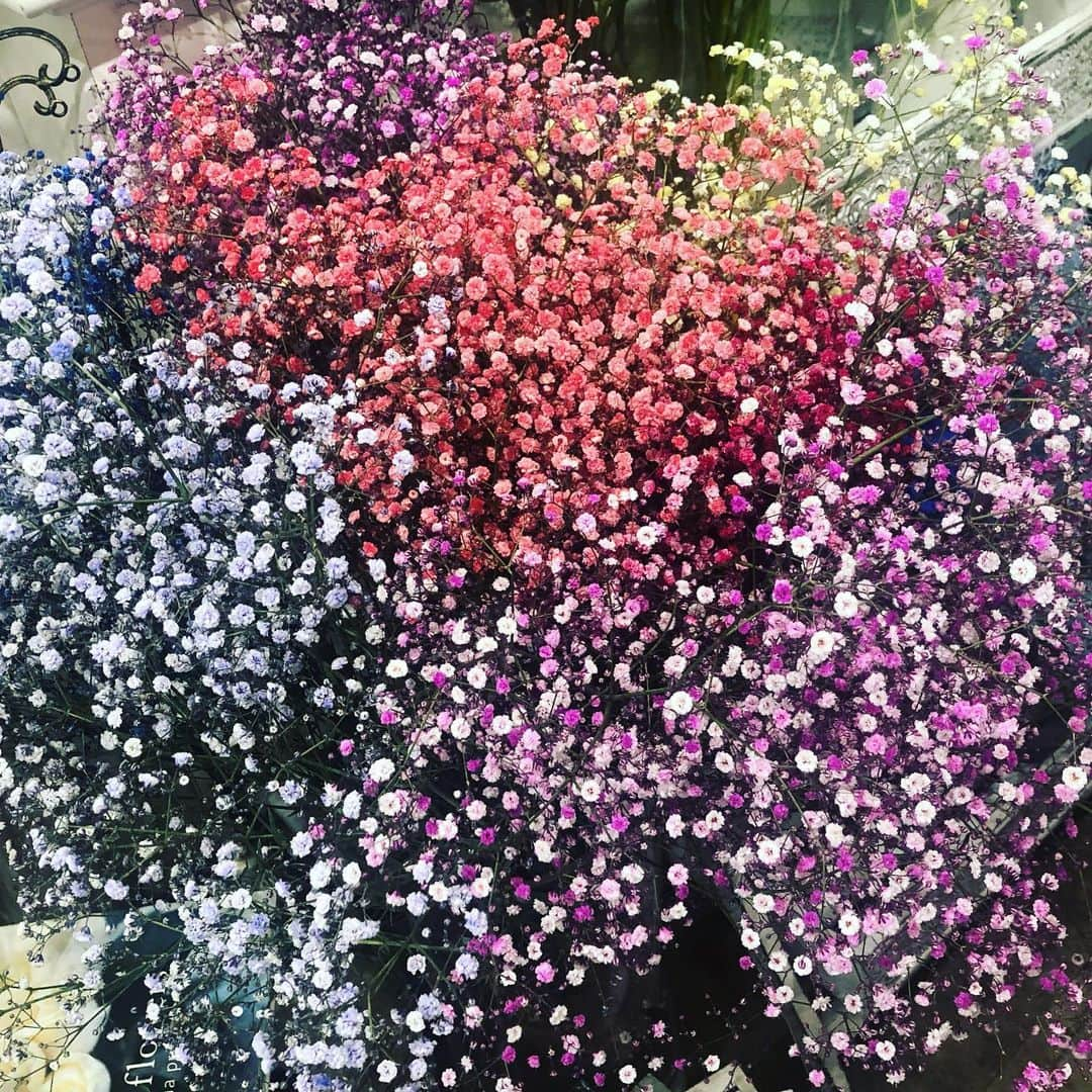 市川海老蔵 （11代目）さんのインスタグラム写真 - (市川海老蔵 （11代目）Instagram)「Pretty “baby's breath.” Mao liked them. Baby’s breath. * 綺麗なかすみ草。 麻央が好きでした。 かすみ草。  #市川海老蔵 #海老蔵 #成田屋 #歌舞伎 #ABKAI #ABMORI #ebizoichikawa #ebizo #kabuki #thunderparty #ebizotv #theater #theaterarts #actor #japan #classic」6月27日 14時02分 - ebizoichikawa.ebizoichikawa