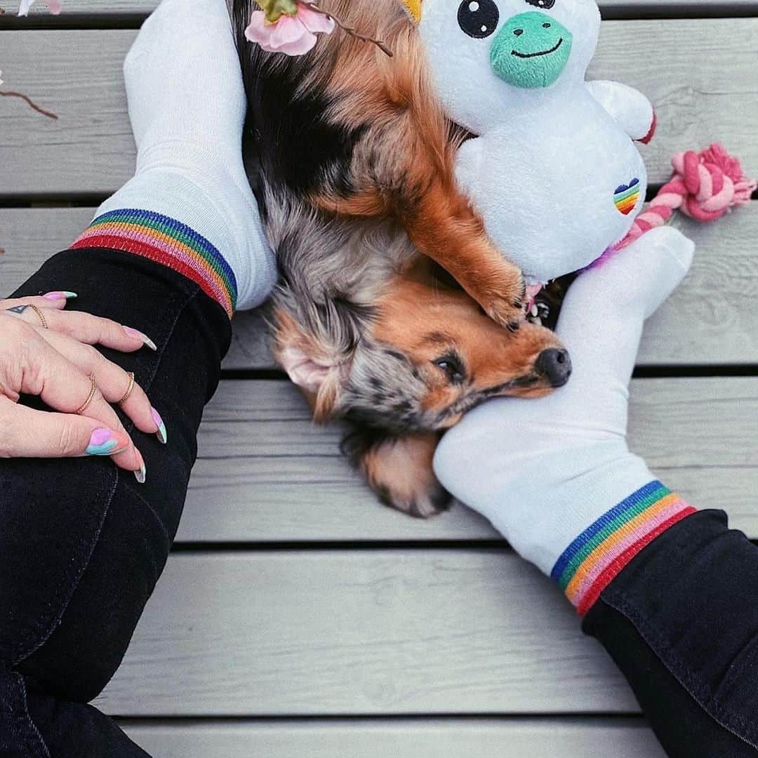 アクセサライズのインスタグラム：「You’ve got the love 🌈  Pride may look a little different this year, but the spirit is still alive in our hearts and homes 📷 @frida3nger  Head to the link in our bio to shop our rainbow edit  #Accessorize #Accessorizer」