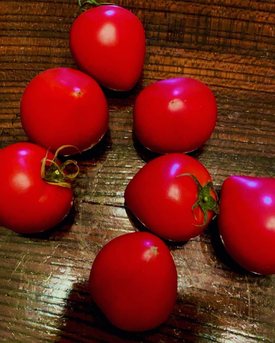 島谷ひとみさんのインスタグラム写真 - (島谷ひとみInstagram)「🍅ウチの島で育ったトマト🍅。 倉橋島のトマト🍅  潮風と、近めの太陽の元に育った、  甘くて硬くて、小ぶりで、シャキッとしたフルーツトマト🍅  あまりにも美味しくてビックリされます🍅  コロナ見舞いで沢山の人に勝手に送ってプレゼントしました🍅  これからの季節に備えてウチの田舎の太陽燦々浴びた☀️トマトで栄養を蓄えて下さいね❣️と🍅  全国の有名シェフも直接買い付けに来る程。  倉橋島の、さなえばぁちゃんがお一人で作っているほんっとーに！今まで食べたトマトで1番おいしい愛情と栄養たっぷりのフルーツトマト🍅  私も、未だ追加で親に買ってきてもらったりして毎日のように食べてます🍅  今はなんでもトマト🍅❣️ トマトは不思議な食べ物です❤️ これは、内緒にしておきたい程のトマトです🍅w  #倉橋島 #トマト #フルーツトマト #おうち時間 #島谷製作所 #島谷ひとみ」6月27日 14時57分 - shimatani_hitomi_official