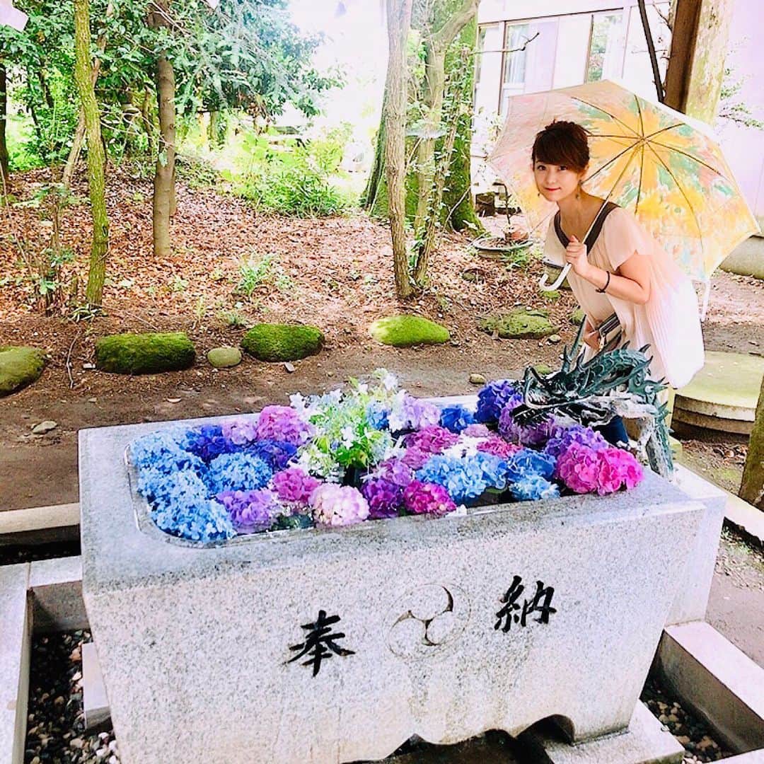 須賀由美子さんのインスタグラム写真 - (須賀由美子Instagram)「#紫陽花 #さくら市 #今宮神社 #紫陽花手水舎」6月27日 20時46分 - tottiyumi