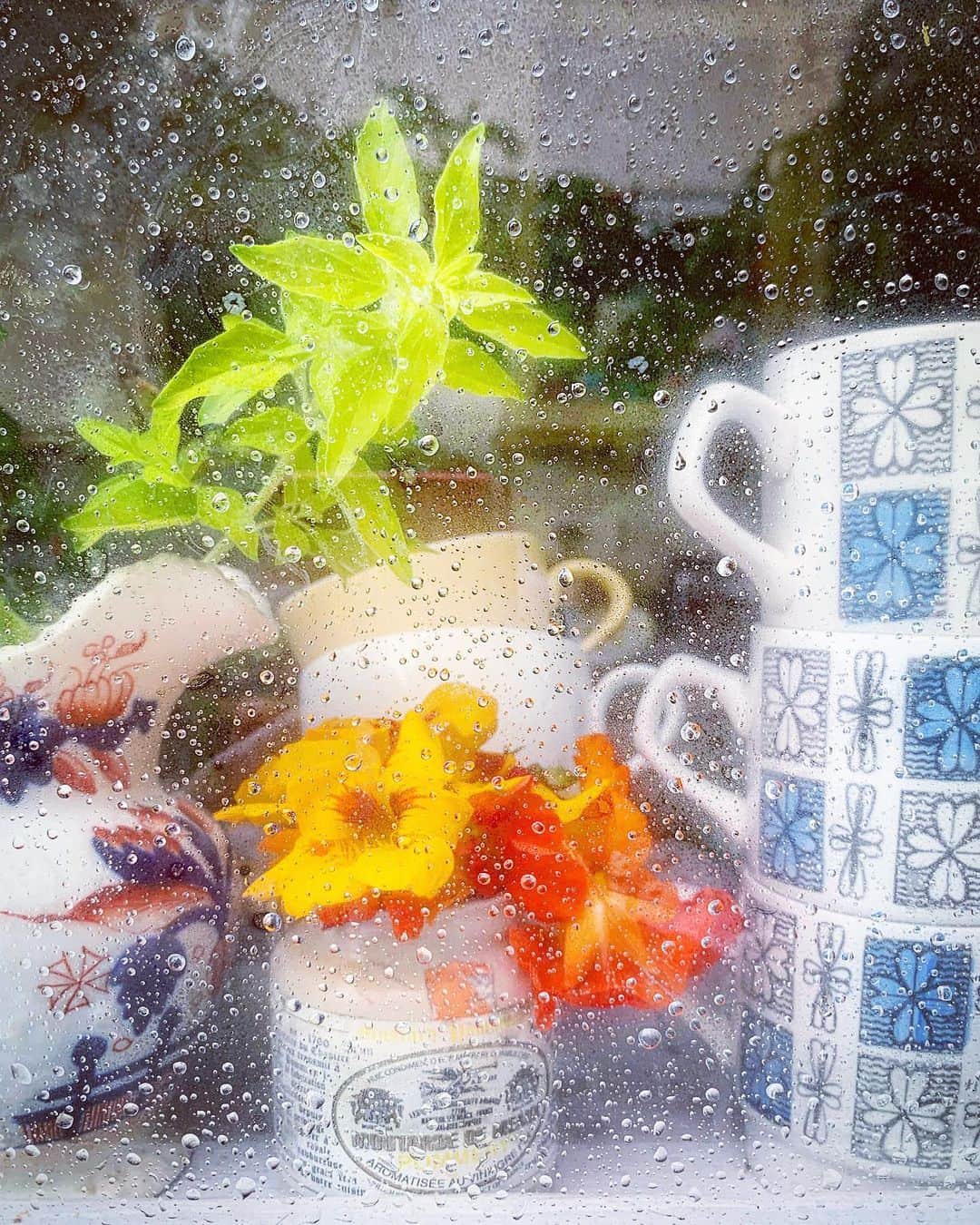 Tea and sittingのインスタグラム：「#rainywindow」