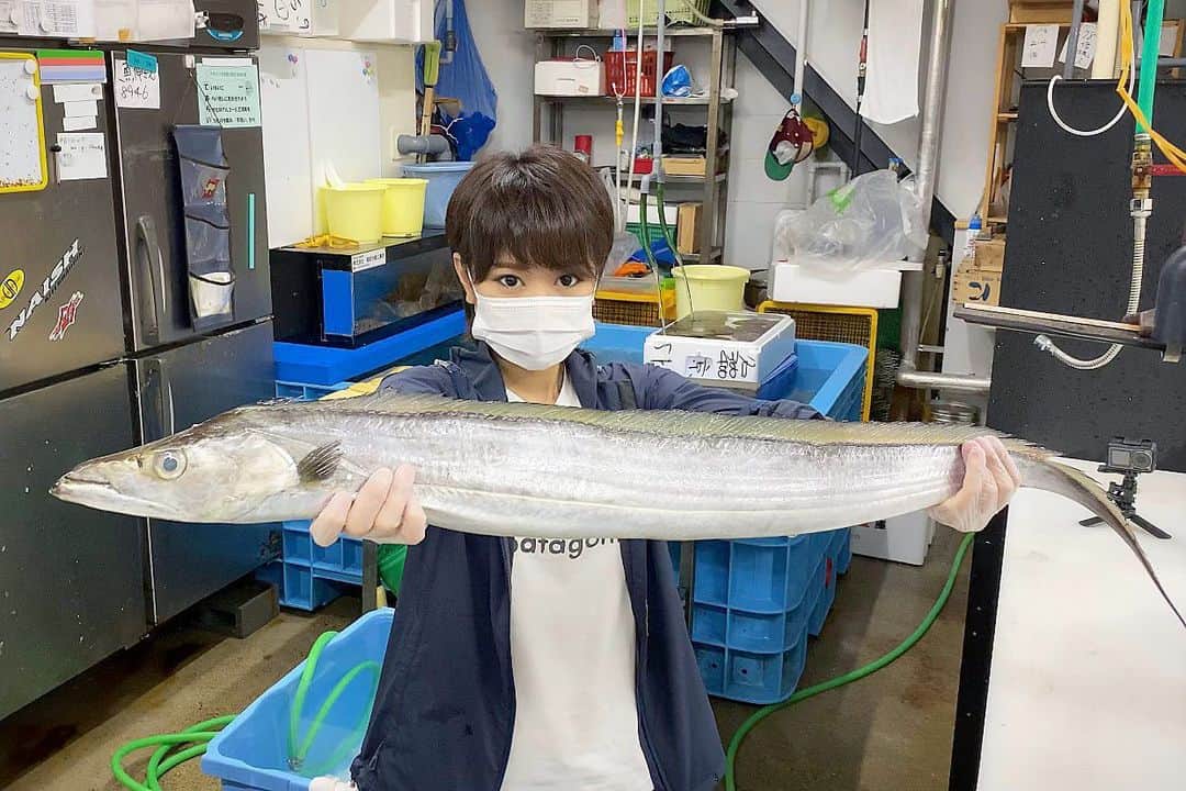 スーパーナブラのインスタグラム：「． ． 1mはありそうなモンスタードラゴン😳 ． 太刀魚釣ったことないですが めちゃ引きそうですね😳😳😳 ． 太刀魚したことないので釣りは詳しくありませんが 漁業的には、このサイズになると超高級魚です✨ 金目鯛やビンチョウマグロより高いです💴 ． 今夜のライブで 炙って食べるのです🤤 ． #太刀魚#タチウオ#怪魚#モンスター#刺身 #京都#琵琶湖#海#滋賀#旅館#和食 #グルメ#川#川遊び#キャンプ#BBQ #景色#釣り#ブラックバス#バス釣り #発見#おでかけ#女子旅#ツーリング#魚 #自然#釣り#釣りガール#YouTube#旅」