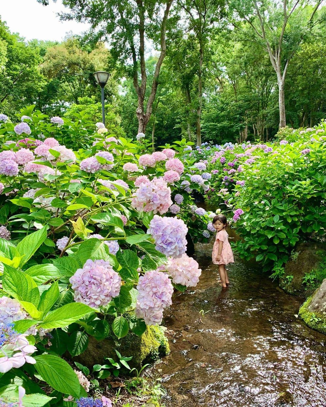 村上萌のインスタグラム