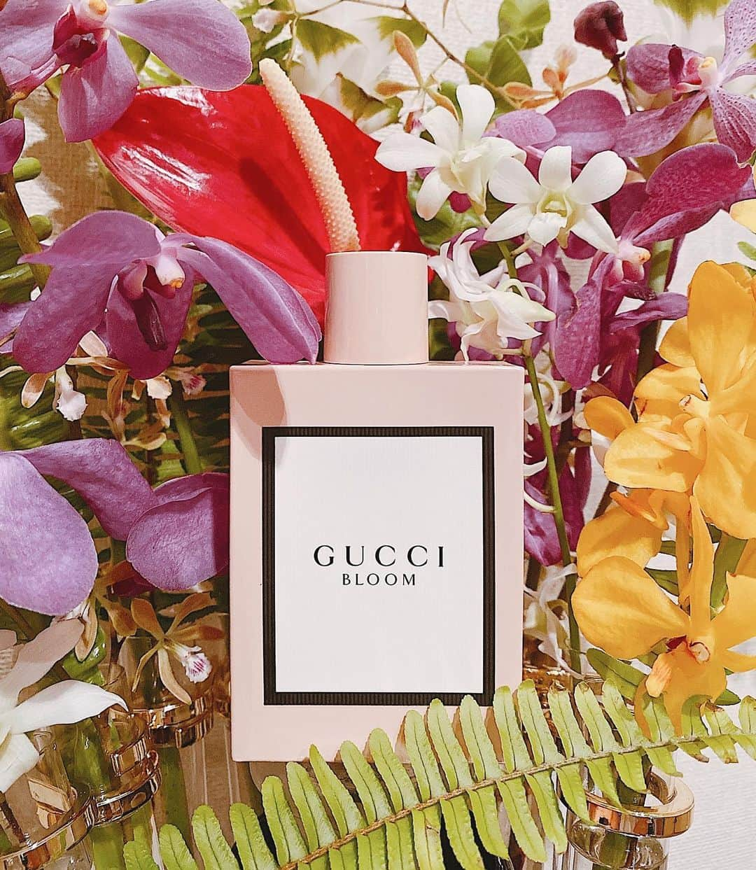 須田朱音さんのインスタグラム写真 - (須田朱音Instagram)「𝐆𝐮𝐜𝐜𝐢 𝐁𝐞𝐚𝐮𝐭𝐲.﻿ ﻿ ﻿ GUCCI Bloom EDP﻿ (グッチブルームオードパルファム)﻿ ﻿ このフレグランスは、2017年に﻿ GUCCIのクリエイティブディレクター﻿ アレッサンドロ・ミケーレが初めて手掛けた﻿ ﻿ チュベローズやジャスミン、﻿ 業界初のラングーンクリーパーの香りを取り入れた﻿ 白い花々が芳潤に香るフローラルな香り。﻿ ﻿ とってもみずみずしくて、﻿ ナチュラルでやわらかくて初夏にぴったり🌿﻿ ﻿ 最近は毎朝この香りに癒されてます✨﻿ ﻿ @guccibeauty﻿ #GucciBeauty﻿ #InBloom #GUCCIBloomEDP﻿ #グッチブルームオードパルファム﻿ ﻿」6月27日 16時41分 - akane_godo