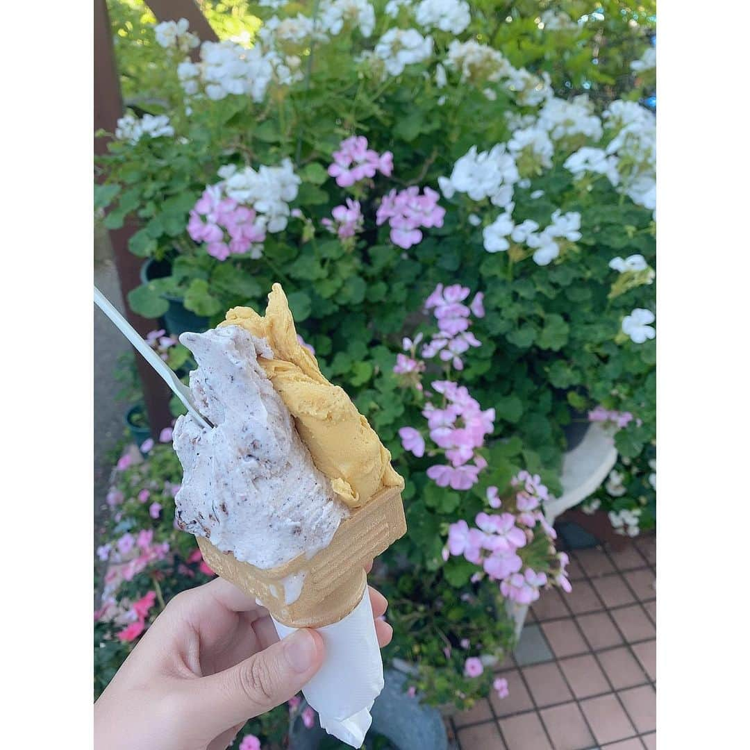 寺田陽菜さんのインスタグラム写真 - (寺田陽菜Instagram)「大好きなポポロのアイスクリーム🍦 味は安定のかぼちゃと、新しく出ていたズコット味を食べました🎃 #ジェラテリアポポロ #ジェラート #新潟」6月27日 16時49分 - hina_0313_ngt48