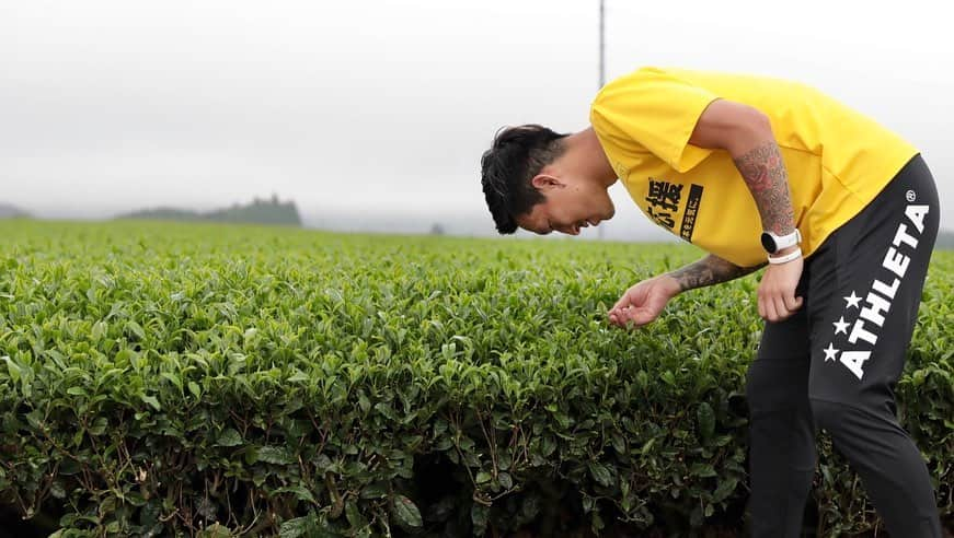 小林祐希さんのインスタグラム写真 - (小林祐希Instagram)「佐賀キャンプのトレーニングの合間を縫って、茶畑の見学に行ってきました！ 茶塔で景色を見ながら飲むお茶は凄く美味しかった。  お茶にも沢山の種類と様々ないれ方があって、その時々に応じて変えている。 最近はコーヒーブームでコーヒーを飲む人が多い（自分も好きでよく飲む）けど、日本人ならお茶にもっと興味を持ってお茶を世界に広めたいなと思った。 大自然に囲まれながら美味しいお茶を飲みたい人はぜひ行ってみてください！ #茶師#田中さん#小林祐希#嬉野」6月27日 17時07分 - 4yuki.kobayashi