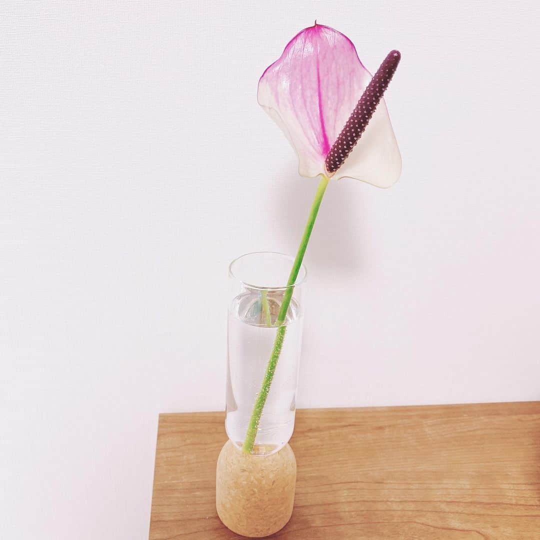 石原夏織さんのインスタグラム写真 - (石原夏織Instagram)「かわいい花瓶を見つけたので購入してみました💕お花もついてきました✨なんのお花かわからないのですが、とっても可愛くてお気に入りです🌼 お家にお花があると癒されますよね〜💓💓 もう一つ花瓶を買ったので、またお花見に行こうっと😆  #🌼 #花瓶 #石原夏織」6月27日 17時58分 - ishiharakaori_official
