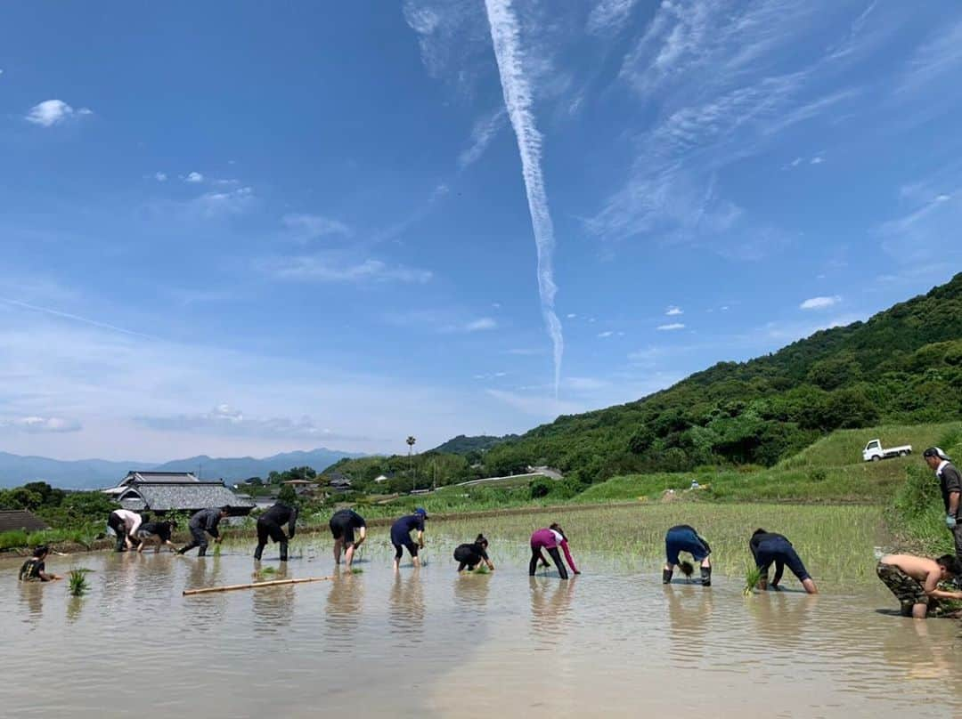 松井絵里奈さんのインスタグラム写真 - (松井絵里奈Instagram)「〜お米作り〜﻿ いよいよ田植え🌱﻿ ﻿ 昨年は、大雨の中の田植えでしたが、﻿ 今年は晴れ渡る空の下で☀️﻿ ﻿ 山から流れる綺麗なお水。﻿ 自然の恩恵を受けているなと﻿ 肌で感じ感謝が溢れます🙏🏻﻿ ﻿ 田んぼには、たくさんの微生物や虫たち。﻿ おじゃましまーす♪という感じで、﻿ 素足で入らせてもらいました✨🦶﻿ 都会ではなかなか体験できない﻿ アーシングタイム❤︎🌍🕊﻿ ﻿ お母さんたちが作ってくださった﻿ お食事をみんなでいただきました。﻿ 本当に美味しかった‼️﻿ ﻿ 食後…地面で仮眠。笑﻿ ﻿ 久々の太陽の下で、体力がなくて﻿ ショック！！！﻿ カラダ作りしなきゃー‼︎﻿ 農作業はとってもいい運動になりました。﻿ ﻿ ﻿ 紫外線対策に…サングラスを忘れた私は、﻿ ワークマンでサングラス調達🕶♪﻿ ﻿ バッチリ決まりましたが、、、﻿ 首元を隠したり、もっと凄い紫外線対策グッズがあったらしいです。﻿ まだまだ勉強不足🤣🤭﻿ 学びの連続です。﻿ ﻿ #田植え#手植えの田植え﻿ #みんなで心を合わせて﻿ #愛媛県伊予市﻿ #自然栽培#自然農法﻿ #ワークマン#ワークマンは父親がよく行く﻿ #ワークマン楽しかった﻿ #田植えは学びの連続﻿ #紫外線対策に﻿ #日焼け大敵#アーシング﻿ #知らない事だらけ﻿ ﻿#美しい自然 #自然のアート #空を見上げたら飛行機雲 #心を合わせてがんばりました #食育#松井絵里奈」6月27日 18時08分 - erina74xx