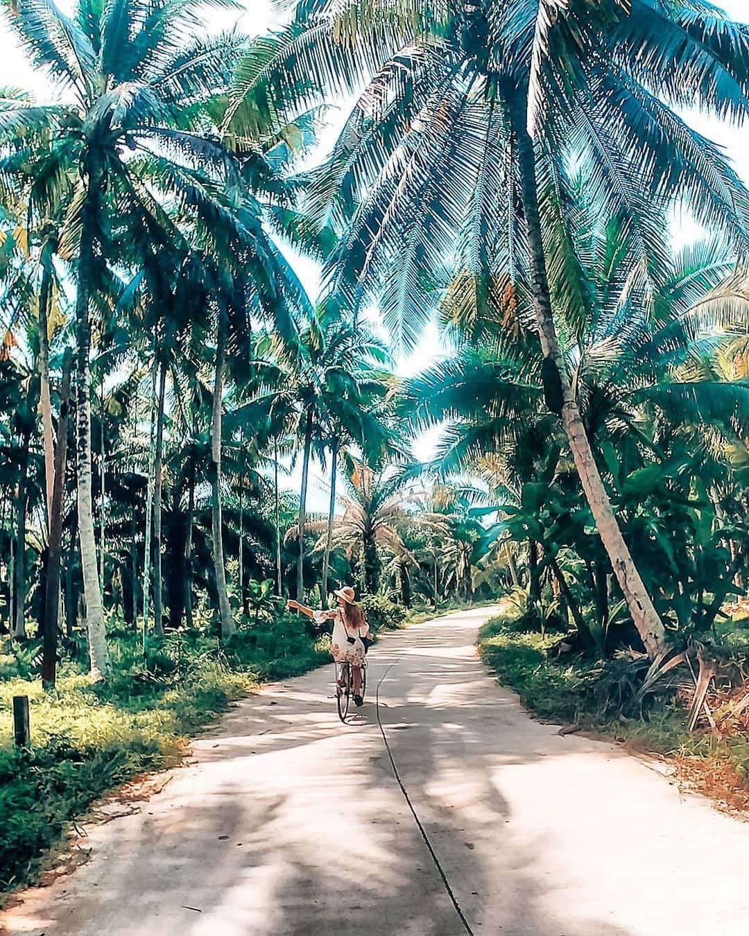 タイ国政府観光庁さんのインスタグラム写真 - (タイ国政府観光庁Instagram)「・﻿ ／﻿ 皆さま☀️﻿ サワッディー・カー🙏﻿ ＼﻿ ﻿ 今日の #thailovers は... @mia_luise_ さん😘﻿ ﻿ チュンポーンの中心にあるリバーサイドホテル「ヴィラヴァリ」 @villavarich での一枚📸﻿ ﻿ 木漏れ日の中で、美しい庭園をサイクリング🚴🌿﻿ ﻿ チュンポーンの雄大な自然を肌で感じられますね👌﻿ ﻿ 📷 @mia_luise_﻿ 📍 チュンポーン「ヴィラヴァリ」﻿ ﻿ ・・・・・・・﻿ ［タイ好き（THAI LOVERS）な皆さんの写真を大募集🇹🇭💕］﻿ ﻿ ハッシュタグ #thailovers をつけて、タイで撮影した写真を投稿すると、こちらでご紹介させて頂くことがあります🐥﻿ ﻿ 皆様からの投稿をお待ちしています‼️﻿ ﻿ #repost #タイ #チュンポーン #ヴィラヴァリチ  #サイクリング #サイクリング日和 #サイクリング女子 #自転車女子  #こんなタイ知らなかった #もっと知りタイ #タイ旅行#旅好きな人と繋がりたい #旅行好きな人と繋がりたい #海外旅行 #女子旅 #タビジョ  #thailand #chumphon #villavarich #cycling #thaistagram #amazingthailand #thailandtravel #thailandtrip #thai #thaistagram #lovethailand  #genic_thailand #tabijyomap_thailand」6月27日 18時33分 - amazingthailandjp