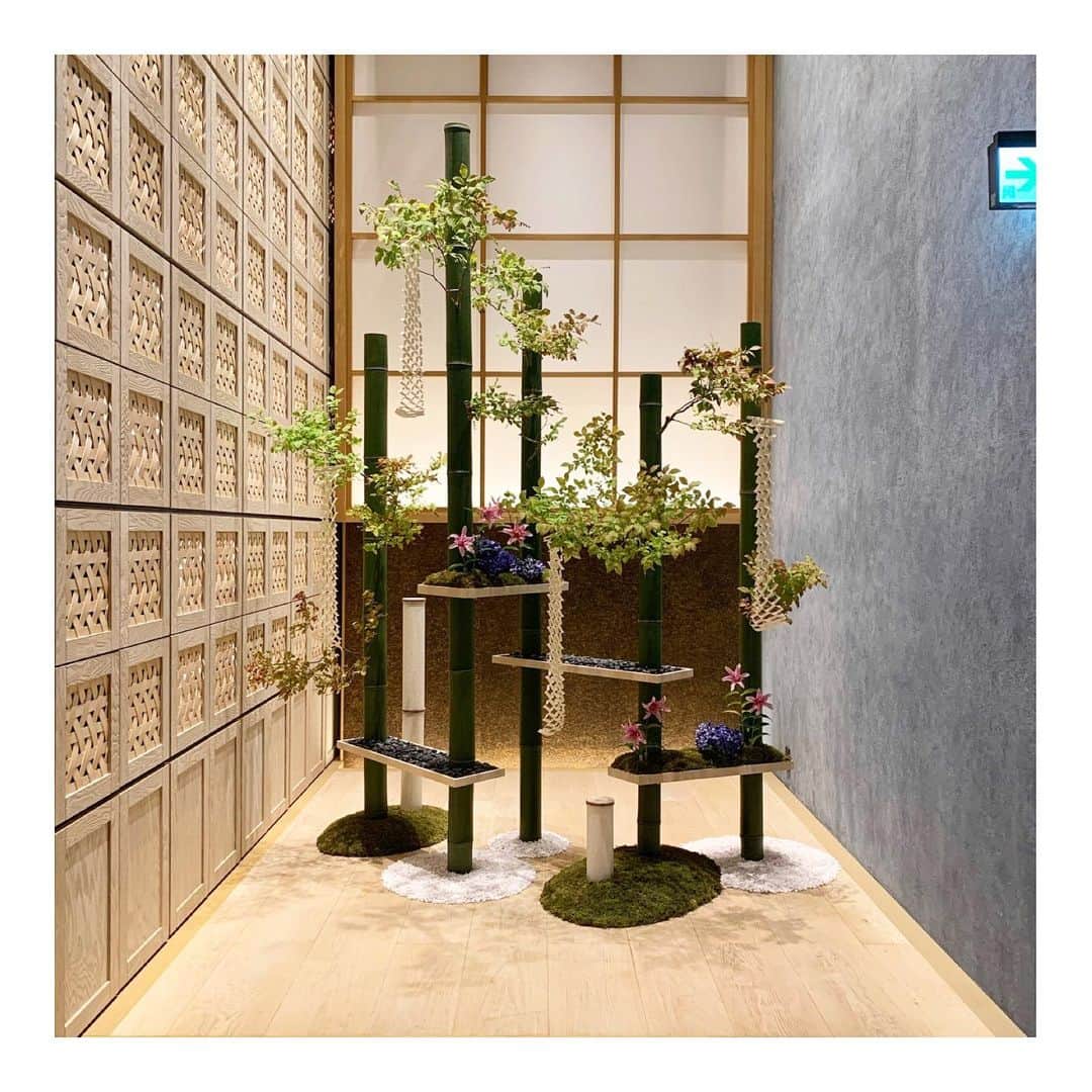 篠原菜月さんのインスタグラム写真 - (篠原菜月Instagram)「憧れの日本旅館✨東京、大手町のオフィス街にたたずむ「星のや東京」へ。﻿ 足を踏み入れた瞬間に感じる畳の香りと玄関に活けられた花々にとっても癒されます🌿﻿ 入口で靴を脱いで館内はすべてハダシ。﻿ エレベーターも廊下もお部屋も全部畳なんです。﻿ 畳の感触いつぶりだろう…﻿ ﻿ 最上階にはなんと温泉も♨️﻿ 東京にいながら別世界を体験してきました。﻿ ﻿ チェックインは客室で、滞在中は他のお客様と交わることのない環境で３密を回避しながら気分転換できました😌🙏✨﻿ ﻿ ﻿ @hoshinoya.official @hoshinoresorts.official  #hoshinoyatokyo#tokyo#rokan#hoshinoresorts#hoshinoya#星のや#星のや東京#東京#旅館#日本旅館#星野リゾート#大手町#温泉#温泉旅館#七夕#旅行#国内旅行#trip#travel」6月27日 18時46分 - natsukishinohara