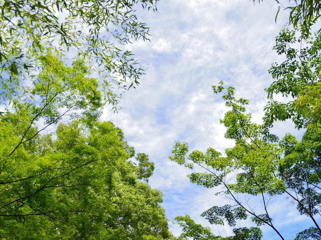 尾崎ありささんのインスタグラム写真 - (尾崎ありさInstagram)「🍃﻿ ﻿ ﻿ ﻿ 環水平アーク見たかったなぁ。。。🥺🌈﻿ ﻿ ﻿ #空 #空が好きな人と繋がりたい #雲 #空好き #風景 #sky #bluesky #skylovers #skyporn #cloud #写真好きな人と繋がりたい #青空 #そら #awesome #landscape #景色 #環水平アーク #green #earth #nature #naturephotography #naturelovers #naturelover ﻿」6月27日 19時03分 - also1219