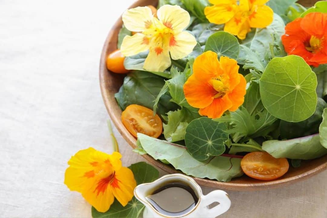HGTVさんのインスタグラム写真 - (HGTVInstagram)「A surprising array of pretty flowers and ordinary weeds are actually edible—like these beautiful nasturtiums! 😋 💐 Find out which edible flowers and weeds you can add to your next salad at the link in our bio. 🥗⁠ ⁠ #salad #veggies #edibleflowers #flowers #gardening」6月28日 5時00分 - hgtv