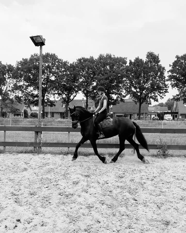 マリヤン・ジョンクマンのインスタグラム：「🐴🐴🐴🐴🐴🦄」