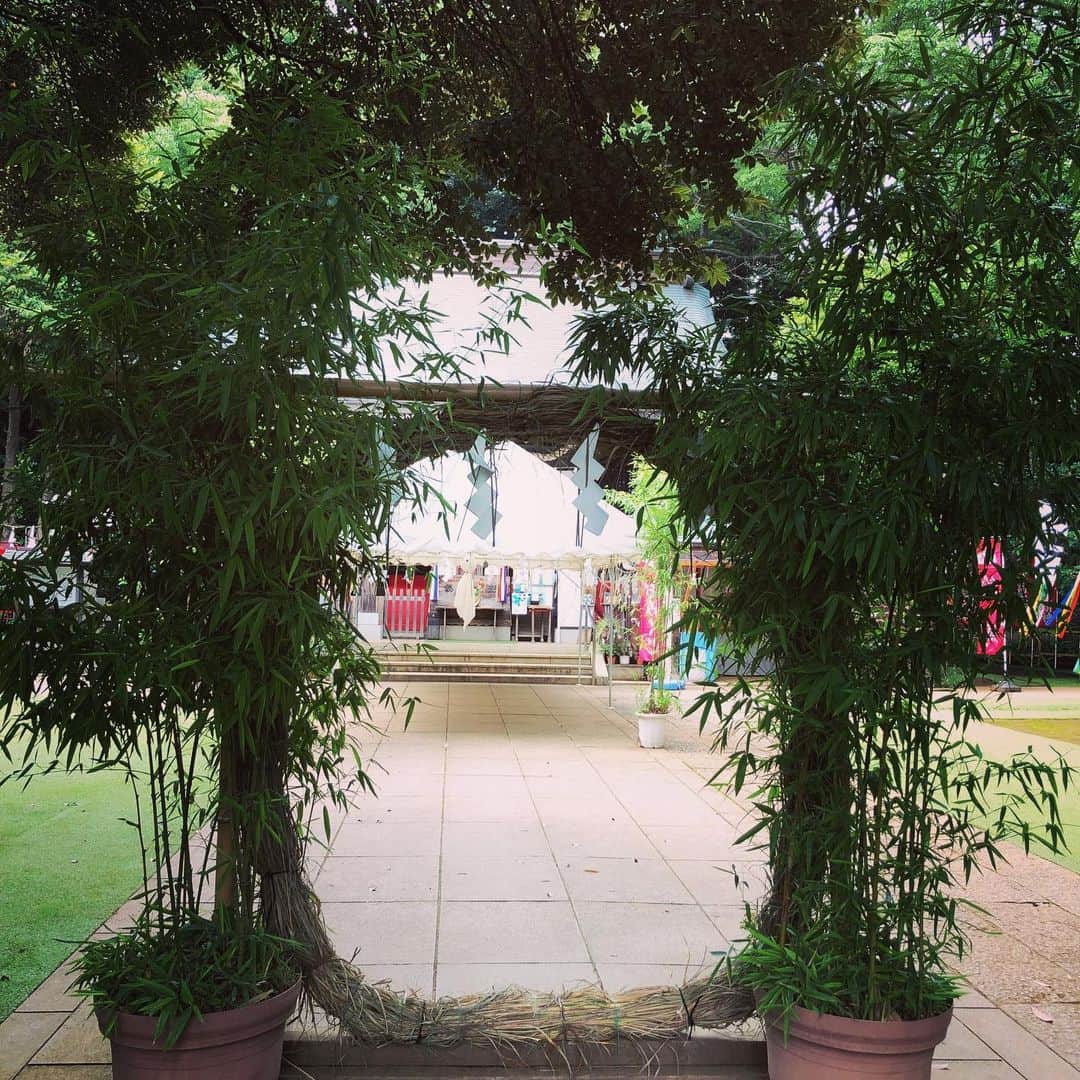 美甘子さんのインスタグラム写真 - (美甘子Instagram)「太子堂八幡神社で芽の輪くぐり 6月は夏越しの祓で、神社に芽の輪が設置されていますよね。 くぐって邪気払い。 風鈴の音が綺麗だった〜。 #太子堂八幡神社」6月27日 21時05分 - rekish_mikako