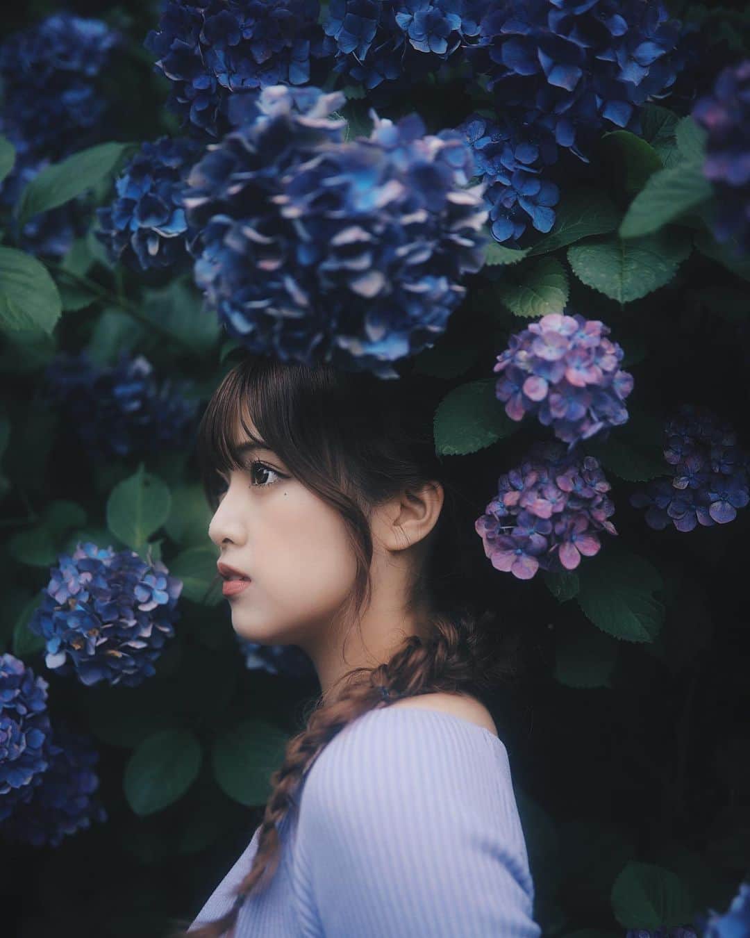MaRuRi（まるりとりゅうが）さんのインスタグラム写真 - (MaRuRi（まるりとりゅうが）Instagram)「横顔は好きですか #紫陽花」6月27日 21時11分 - maruridayo
