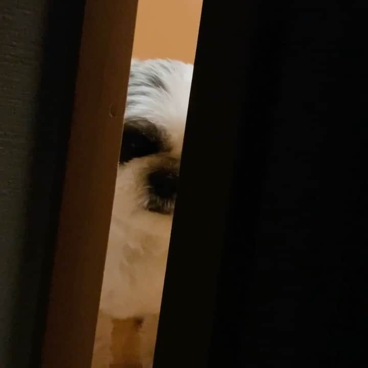 いくらのインスタグラム