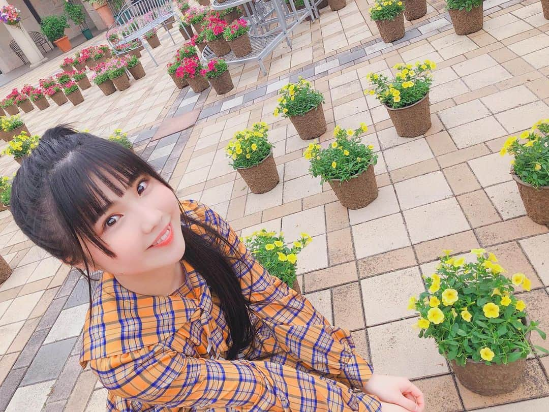 北川愛乃さんのインスタグラム写真 - (北川愛乃Instagram)「✿ Flower ✿  #ske48  #ソーユートコあるよね  #衣装  #チェック  #flower #yellow  #pink」6月27日 21時15分 - kitagawayoshino