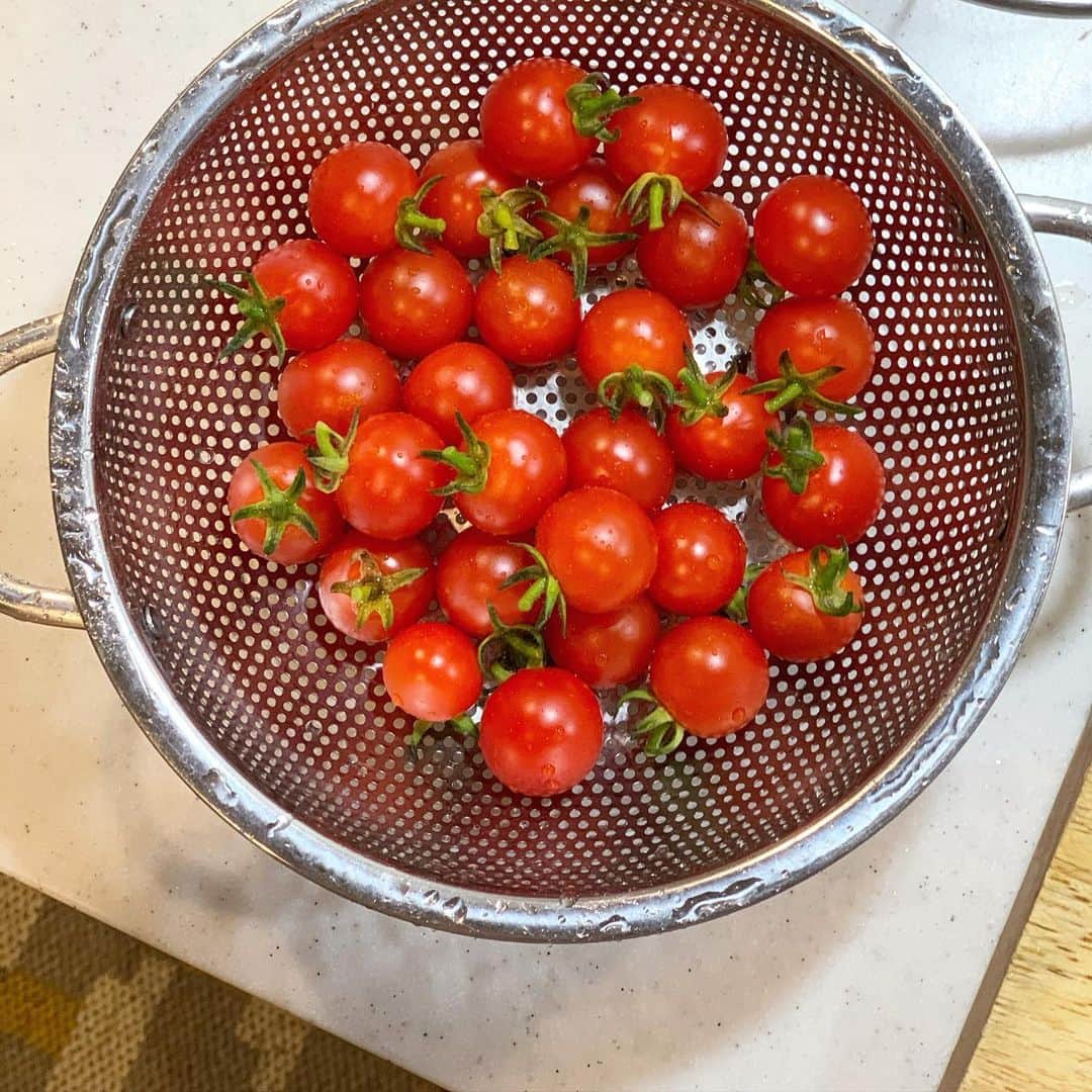 佐藤友子さんのインスタグラム写真 - (佐藤友子Instagram)「ベランダガーデンで初めてプランター栽培に挑戦してみたミニトマト。 たわわに実がなり、たくさん収穫できました。  同じプランターのなかで育てているバジルと一緒にシンプルなサラダにして食べたらほんとうに甘くて美味しかった😌  この春夏は意外なほどにベランダガーデンから多くのことを学ばせてもらっているし、これまで味わったことのない新鮮な感覚を経験させてもらっているように思う。  自分が何が好きで、どんなふうに生活していきたいと願っているのか。 ベランダガーデニングに目覚めてから、おぼろげだったイメージが少しずつ輪郭をもち、はっきりしてきている気がする。  #佐藤のベランダガーデニング記録」6月27日 21時24分 - tomokosato_hokuohkurashi