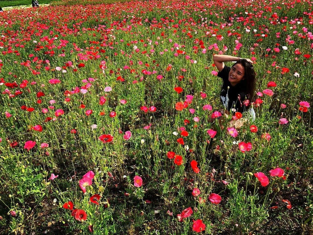 加賀美セイラさんのインスタグラム写真 - (加賀美セイラInstagram)「#poppies #花畑　Nice to be around #flowers🌺🌼🌻🌹🥀🌿🌾🍃🍂🍁☘️🍀🌱🌲🌳 #beautiful #pritty #癒される風景  #花大好き💕」6月27日 21時40分 - serakagami