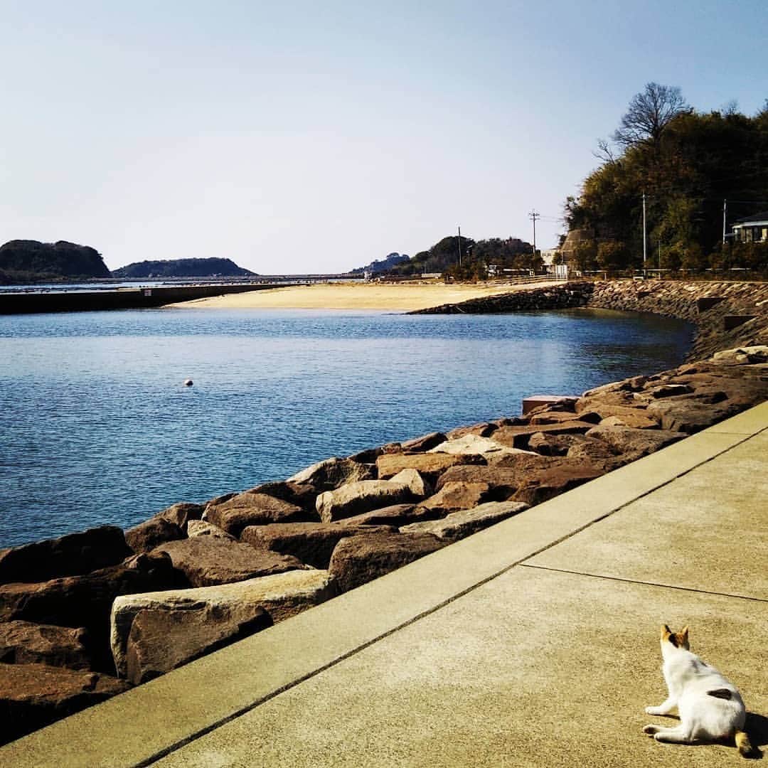 長崎◯◯LOVERSのインスタグラム：「* 【投稿写真のご紹介】 * 前回に引き続き、「#長崎海岸lovers 」のステキな写真をご紹介します💁‍♀️ * 今回は、 @saeki0918 さんが投稿されたお写真です🏞 * これは、神ノ島の海岸ですね⛴ 綺麗な海と空の下、ネコ🐱が気持ち良さそうに転がっています🏝 心落ち着く、いい写真ですね☺️ * @saeki0918 さん、ありがとうございました💡 引き続き、長崎の魅力的なステキな写真をお待ちしています🙇‍♂️ * * #長崎海岸lovers  #長崎応援lovers  #nagasakilovers  #長崎lovers  #神ノ島  @nagasakilovers * *** *** *** *** *** *** * 📸📸募集中📷📷 6月のテーマは「#長崎雨宿りlovers 」です🤳 長崎は雨が続いてますね☔️☔️ みなさんの「雨宿り」の写真をお待ちしています🙇‍♂️🙇‍♂️🙇‍♂️」