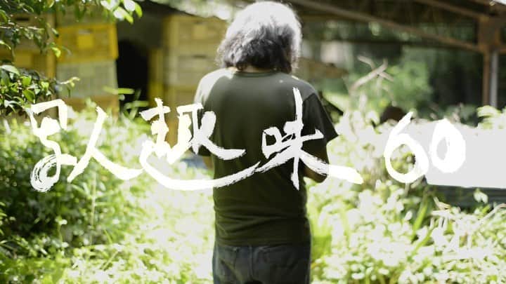 The Fashion Postのグルメインスタ