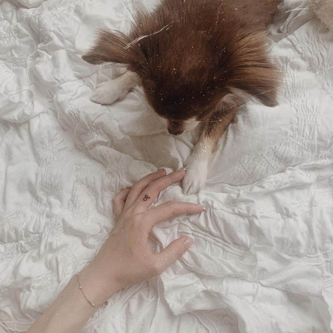 Tomomi Teradaのインスタグラム：「𝒞, ℐ 𝓁ℴ𝓋ℯ 𝓎ℴ𝓊♡  #本日のチュロ」