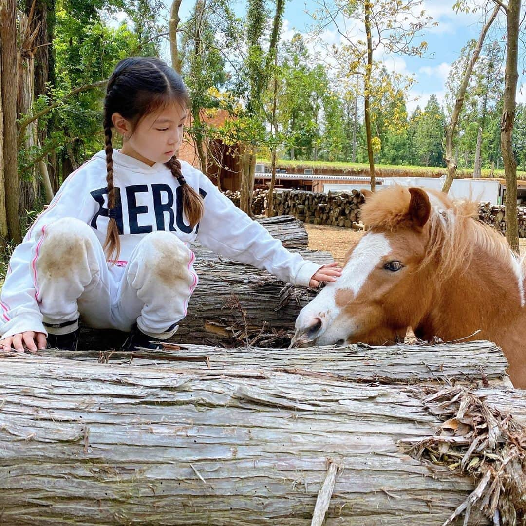 西山美希子さんのインスタグラム写真 - (西山美希子Instagram)「親子で乗馬体験。オンライン授業で、馬についてリサーチを重ねていろいろ学んだ結果、乗馬をしたい！！となり、ママも！となりました。たのしかったね！自分で調べて学んで興味を持って体験するって素晴らしい！✨」6月27日 22時36分 - mariaclove