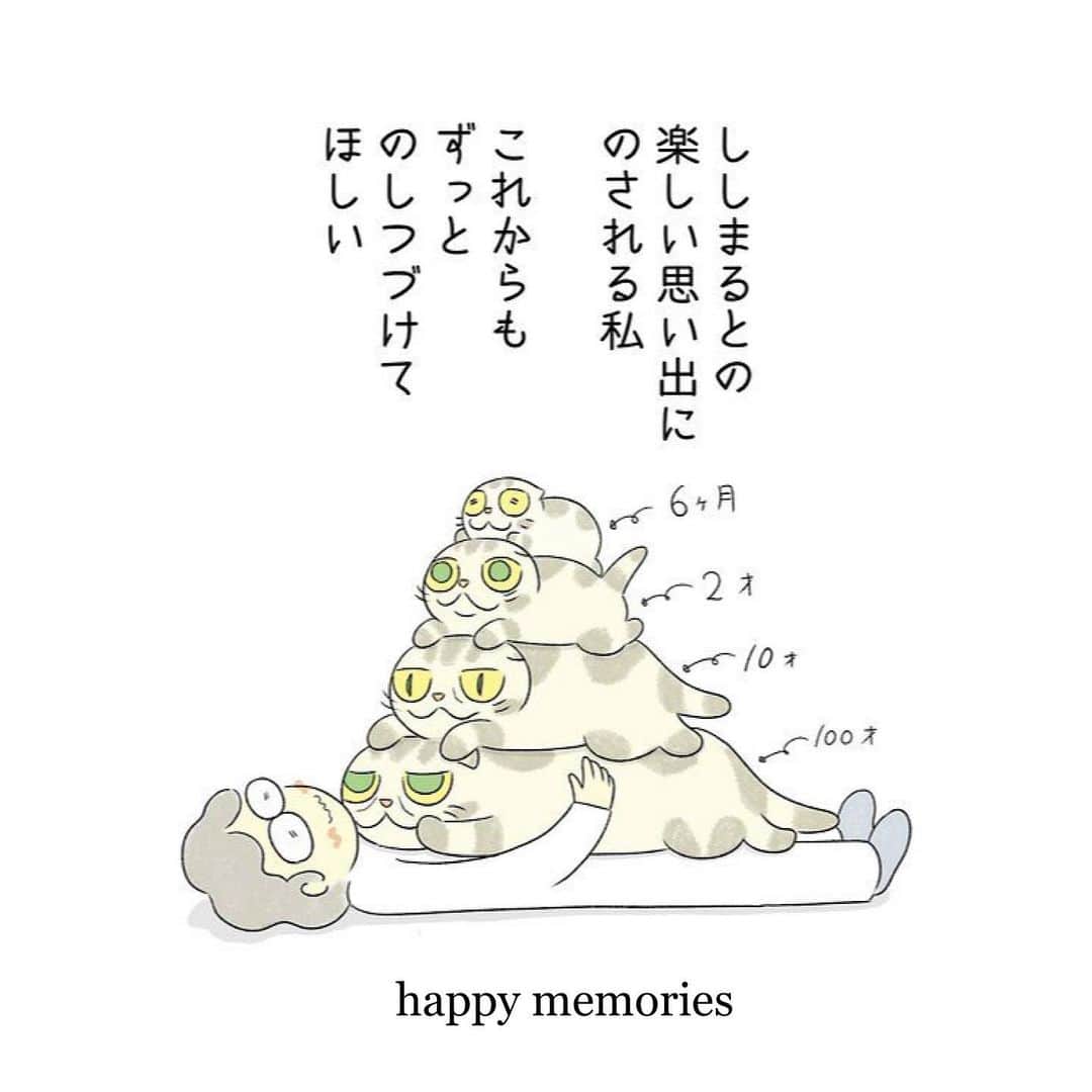 Shishi-maruさんのインスタグラム写真 - (Shishi-maruInstagram)「🐱ねこのきもちWEBMAGAZINE にて、猫エッセイが更新されました。今回は「ぺしゃんこになったあざらしクッション」のお話です。アプリ版もありますので是非。﻿ お楽しみください。﻿ ﻿ 【渋ネコししまるさん】#53﻿ ｜ねこのきもちWEB MAGAZINE﻿ ﻿ https://cat.benesse.ne.jp/lovecat/content/?id=74658﻿ ﻿ 🐱My essay about Shishi-maru is serialized in a weekly magazine:)﻿ ﻿ ーーーーーーーーーーーーー﻿ ﻿ 🌺「渋ネコ ししまるさん」ねこのきもちWEB MAGAZINE にて毎週金曜日エッセイの連載中﻿ ーーーーーーーーーーー﻿ 📕「ぷっちねこ。」「3匹のちいさな猫を召喚できたなら」「ちいさな猫を召喚できたなら」徳間書店より単行本発売中﻿ ーーーーーーーーーーー﻿ ⭐︎ねこ漫画→@tacos_cat﻿ 🌺Twitter →@taco_emonemon﻿ ーーーーーーーーーーー」6月27日 22時50分 - emonemon