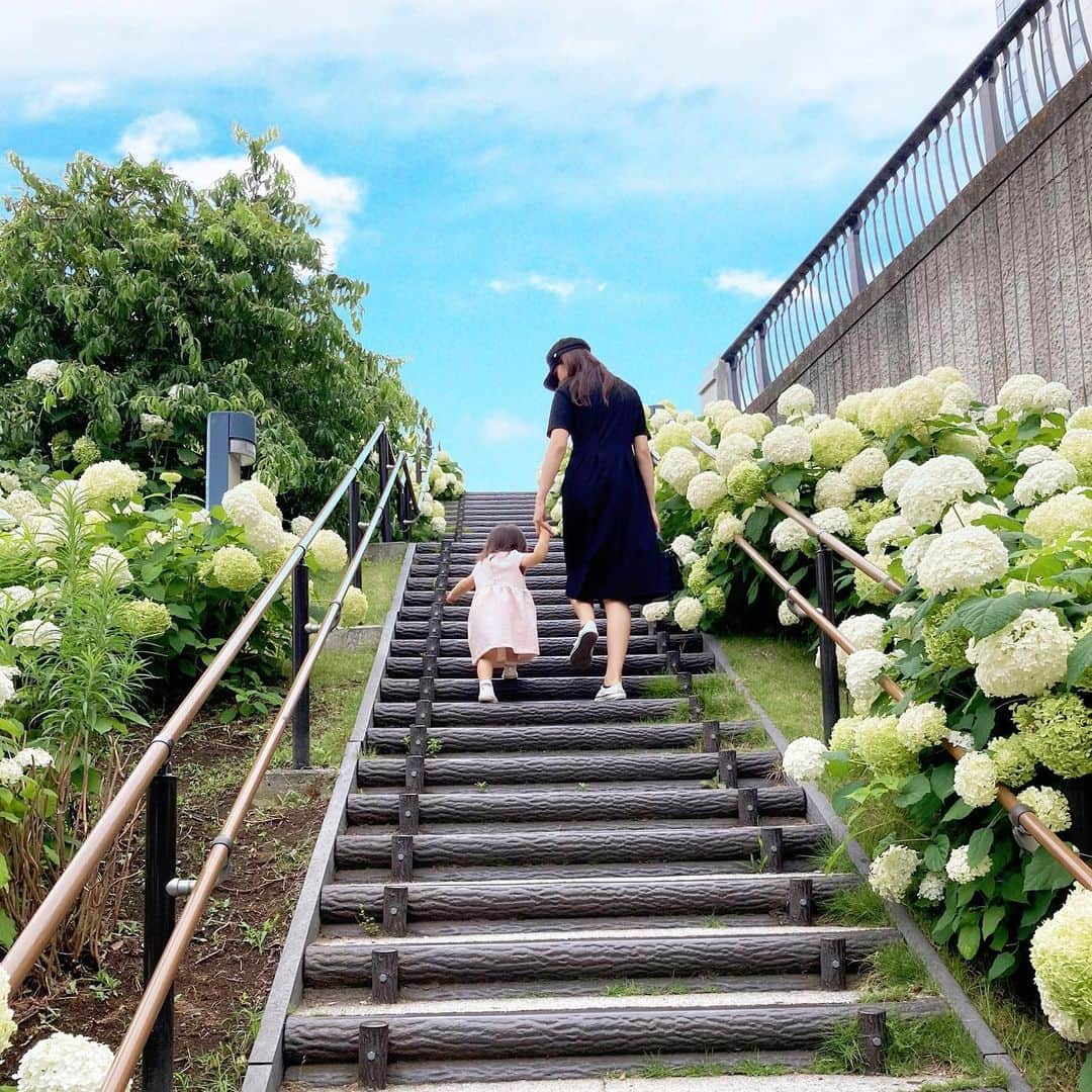 蛭川怜奈のインスタグラム：「紫陽花、、、ですか？ . . . #梅雨 #紫陽花」