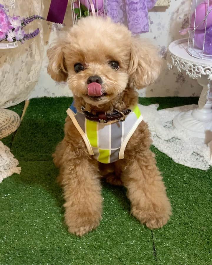 ❤︎Till❤︎のグルメインスタ