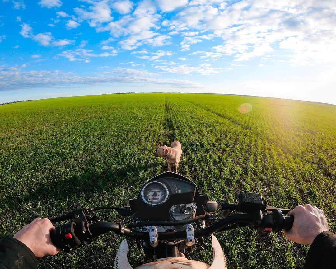 goproさんのインスタグラム写真 - (goproInstagram)「Photo of the Day: Sunset cruising with @felipe_dotto + his buddy Chico 🐶 ⠀⠀⠀⠀⠀⠀⠀⠀⠀ This week, our 5 favorite #GoProLiveIt submissions will take home a #GoProHERO8 Black, Casey, + Sleeve + Lanyard. Submit your best captures to GoPro.com/Awards to score big 📷 ⠀⠀⠀⠀⠀⠀⠀⠀⠀ @GoProBR #GoProBR #Sunset #DogsofInstagram #Motorcycle」6月28日 0時01分 - gopro