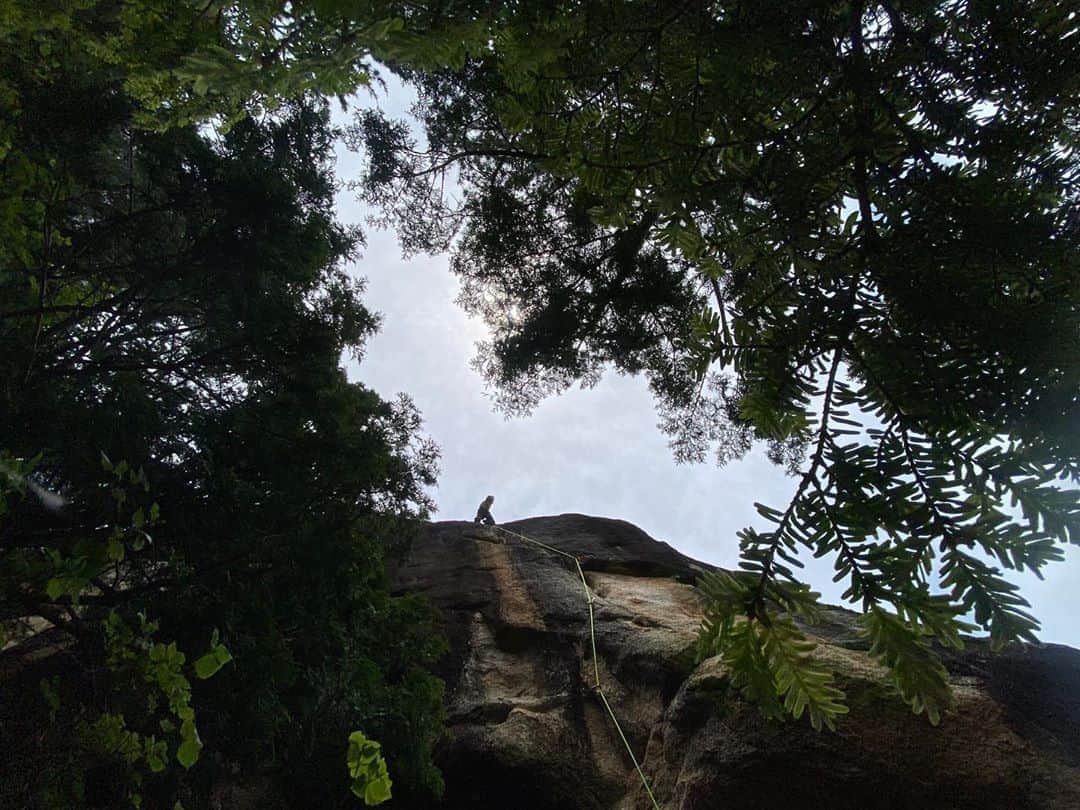 安間佐千さんのインスタグラム写真 - (安間佐千Instagram)「久しぶりに@teru.teru.bo_zu と小川山！最近ずっと雨の中の開拓続きでしたが、今日は晴れました！心地よく風も吹き、岩もパリパリで、岩場で出会う人たちも皆嬉しそうで、最高の1日でした。 ・  今日は今まで訪れたことのなかった屋根岩岩峰巡り。僕は蜘蛛の糸5.11cとマナ5.13aをオンサイト。かたつむり5.12cは悔しい2撃。力The大岩5.12cはフラッシュ。実は花崗岩の5.13aオンサイトは国内では2本目。嬉しい成果でした🎉😊✨ ・  明日は再び雨予報の二子山へ！楽しみです。 ・  It has been long time since I climbed with Teru last time. It is rainy season in Japan right now but today was beautiful sunny day😎☀️Cool wind was blowing, good conditions and every climber looked so happy just being in Mt. Ogawa. ・  I onsighted  5.11c classic crack called spider web and Mana 5.13a. It is very difficult to onsight on Japanese rock so I want to celebrate myself😊🙏 •  @adidasterrex @fiveten_official @petzl_official」6月28日 0時48分 - sachiamma