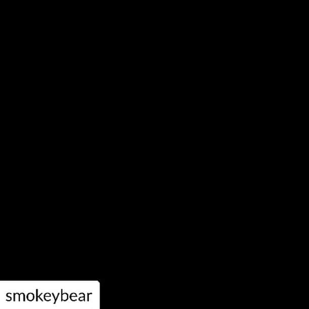 ジョシュ・スチュワートのインスタグラム：「@smokeybear #onlyyou can prevent forest fires @u.s.forestservice」