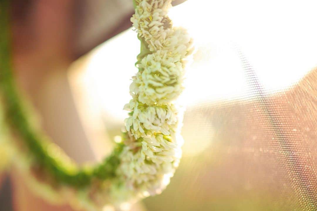 市原隼人さんのインスタグラム写真 - (市原隼人Instagram)「はいどーぞ。#花冠 #花 #プレゼント #喜んでくれる顔が好きだよ」6月28日 2時07分 - hayato_ichihara