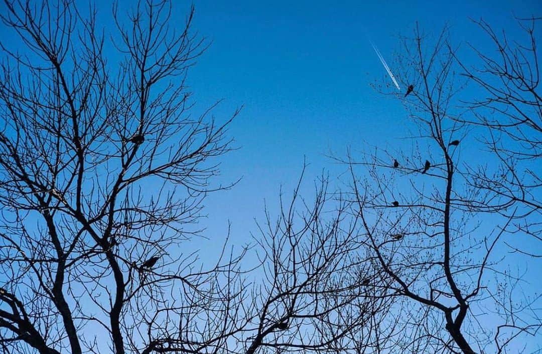 マンディクーンのインスタグラム：「Upstate NY friends! Do you have a story/photo/poem/artwork that represents how you’ve been feeling the past few months? Stories of loss, isolation, grief, hope, love, togetherness, life, awakening, protest... If so, please send submissions for the Summer Issue of DVEight-The People’s Issue- to info@dveightmag.com.  Photo @caelumrogers」