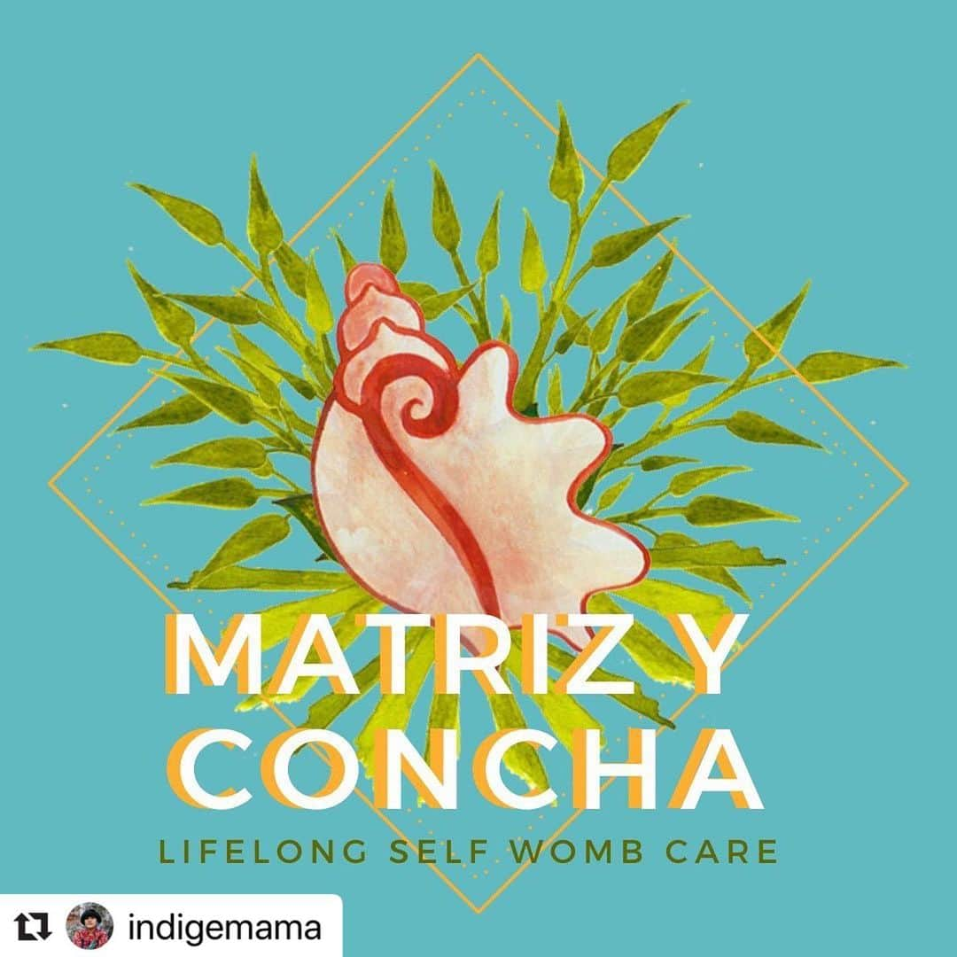 ケラーニさんのインスタグラム写真 - (ケラーニInstagram)「so many of our wombs are suffering and we don’t know it! sharing the course i myself am taking because i am passionate about birth, birthing folks & simultaneously supporting the birth worker community. we must always vow to share when we come across something beneficial to community! thank you @indigemama for this! #Repost @indigemama with @make_repost ・・・ Ready to reclaim your time, body, + wellness through connecting with your Matriz? 💜I want to make that easy for you.💜 You’ve struggled ENOUGH. You’ve worked hard ENOUGH. Your lineage has been through enough, + holding the weight of your collective ancestral wounds + medicina is a heavy job. 🙅🏽‍♀️🙅🏽‍♀️🙅🏽‍♀️ You DO NOT have to take this all onto your shoulders. 🙅🏽‍♀️🙅🏽‍♀️🙅🏽‍♀️ You deserve to have everything you need to heal your womb. That means support, guidance, instruction, inspiration, + restorative practices that will last a lifetime + pour into future generations. 🤰🏽🤱🏽💁🏽‍♀️ Introducing: 🐚 Matriz y Concha 🐚 🌿Lifelong Self Womb Healing🌿 A three month course designed to give you everything you need to connect to the power your womb which results in transformation + reclaiming traditional ways of wellness. 💜 This is your official invitation + I’m humbled to follow the calling of my womb along with yours. <3 💜 I have a couple of FREE online events coming up in celebration of my ancestral body of knowledge. 🙌🏾 Sign up to my emails for details. 😘 Oh, and here’s the link to join Matriz y Concha: 👇🏽 https://indigescuela.com/p/m-c_general (Use this link👆🏽+or+ click the link in bio) . . . . . . #indigemama #ancestralhealing #indigemamaancestralhealing #wombcare #selfcare #selfwombcare #ancestral #healing #matrizyconcha #indigescuela #selfwombcare #indigenousknowledge #selfcare #communitycare #selflove #wombwellness #Wombwisdom #lamatriz #laconcha」6月28日 2時40分 - kehlani