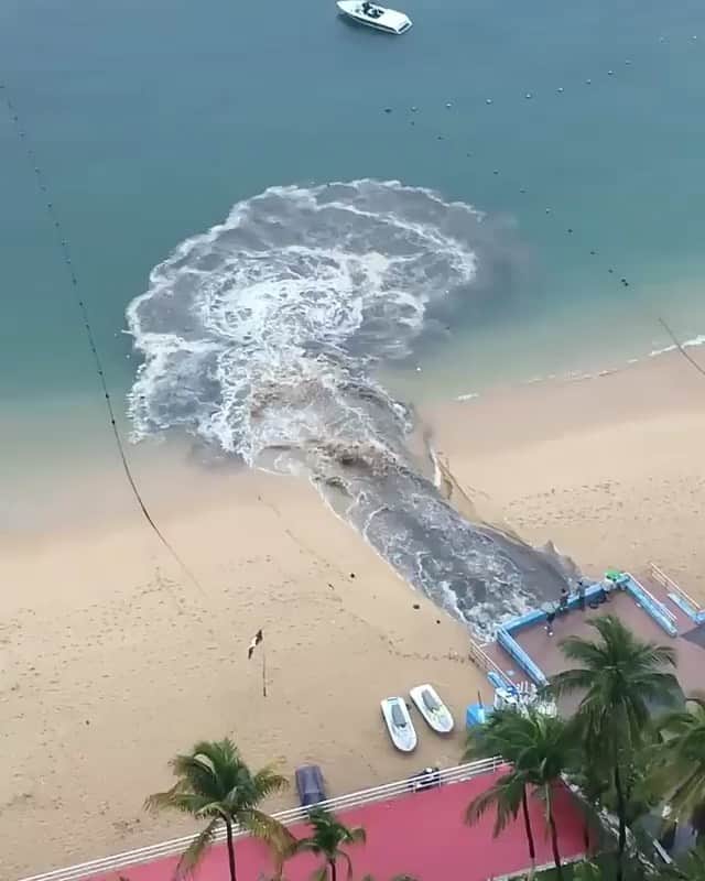 ティモシー・サイクスのインスタグラム：「URGENT PROBLEM: Repost @savethereef Please share this disgusting video with your followers and tag people, celebrities, influencers and news media who need to see this and as dumping raw sewage into Acapulco Bay, contaminating the water and killing marine life is NOT OKAY AND MUST BE STOPPED IMMEDIATELY! This happened today, they discharged sewage into the bay of Acapulco, apparently the Secretary of the Environment and Natural Resources already issued a statement in this regard, but these types of acts are those that must be shared so that they are found by the responsible. Source: @mexicoatravesdeunalente Acapulco from my Balcony #stoppollution #sewage #acapulco #stopthis #karmagawa #savethereef」