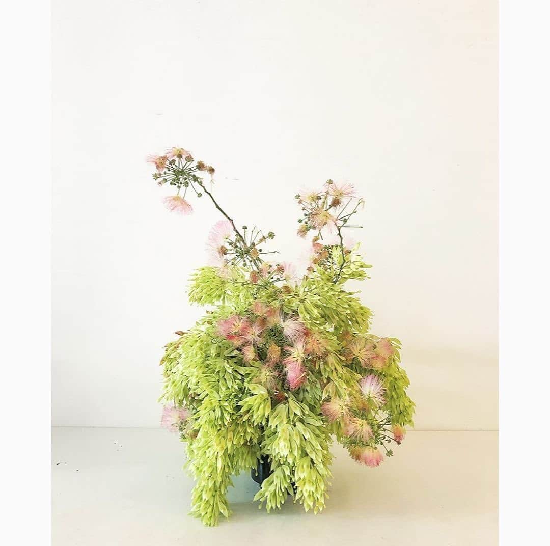 サキャスティックさんのインスタグラム写真 - (サキャスティックInstagram)「@shedesignsla floral arrangements」6月28日 2時42分 - paultbythesea