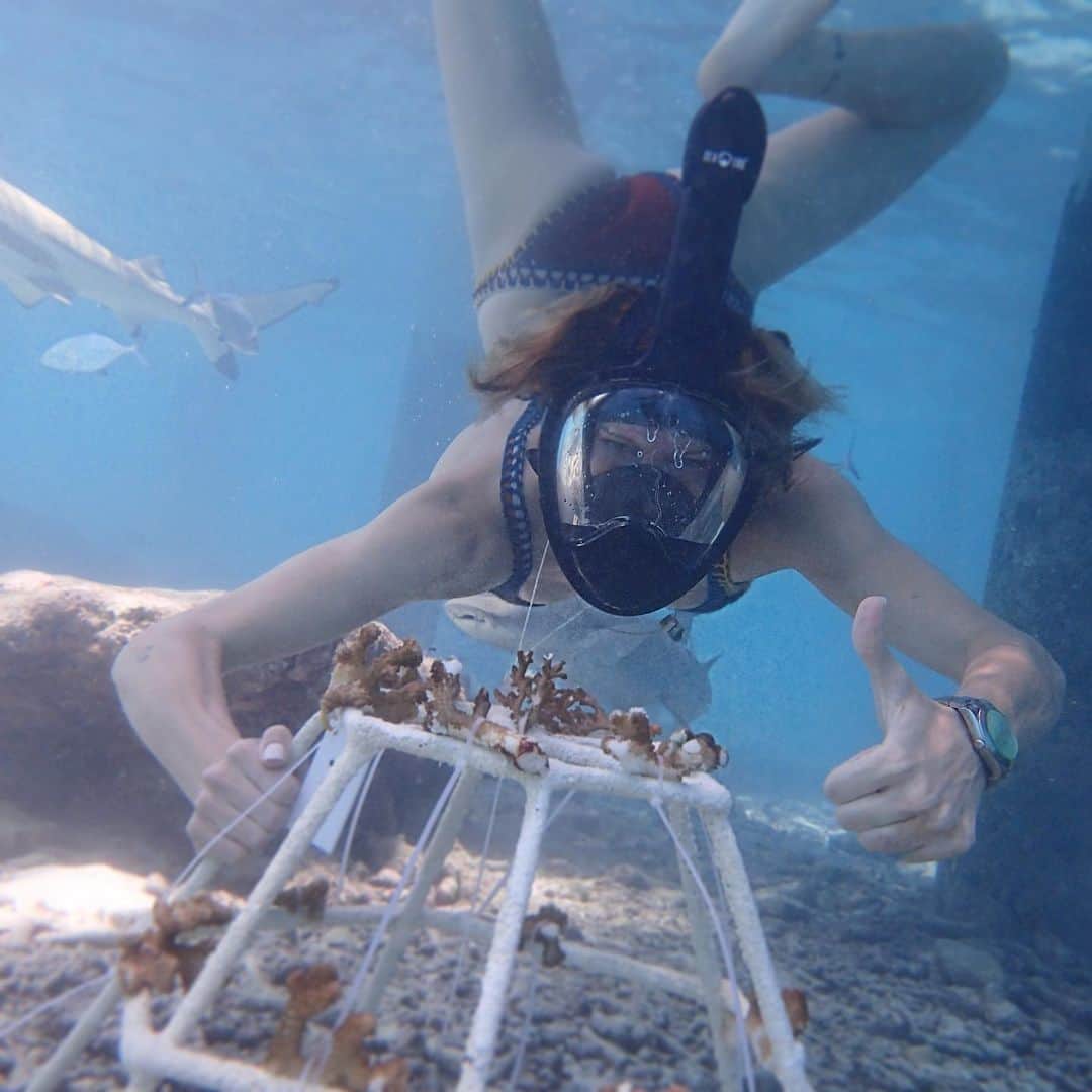 ケイティ・キャシディさんのインスタグラム写真 - (ケイティ・キャシディInstagram)「Oh ya! I forgot to mention I adopted coral and swam with sharks @huvafenfushi_maldives #savecoralreefs (Look who’s hangin in the B.G.!😱)」6月28日 4時01分 - katiecassidy