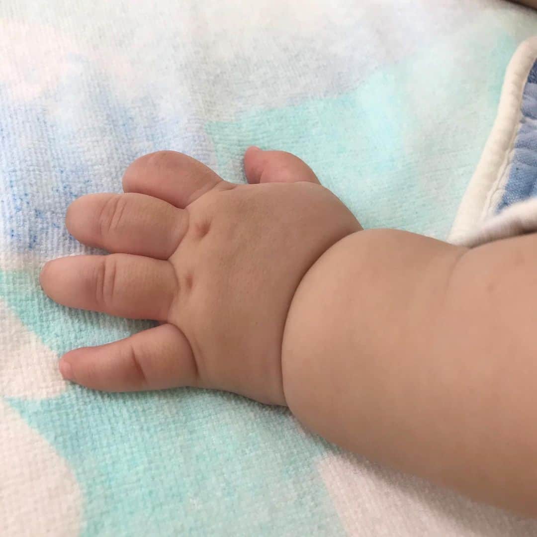 のインスタグラム：「最近、全盛期よりムチムチ度が下がってきてちょっと寂しいです。。 ので、今のうちにムチムチ記録。  #男の子ベビー #男の子ママ #男の子 #7ヶ月ベビー #babyboy #7monthsbaby #親バカ部ig_baby  #親バカ部 　#0歳　#新米ママ　　#育児記録　#息子　#乳児 #赤ちゃん #赤ちゃん写真  #赤ちゃんのいる生活 #ベビーグラム　#ベビスタグラム #ままのて #ベビータウン #コドモダカラ #キップキップ #ベビライフ #ラブベビ　#子育てぐらむ #はいチーズ #ベビメモリ #ベビムビ #むちむち」
