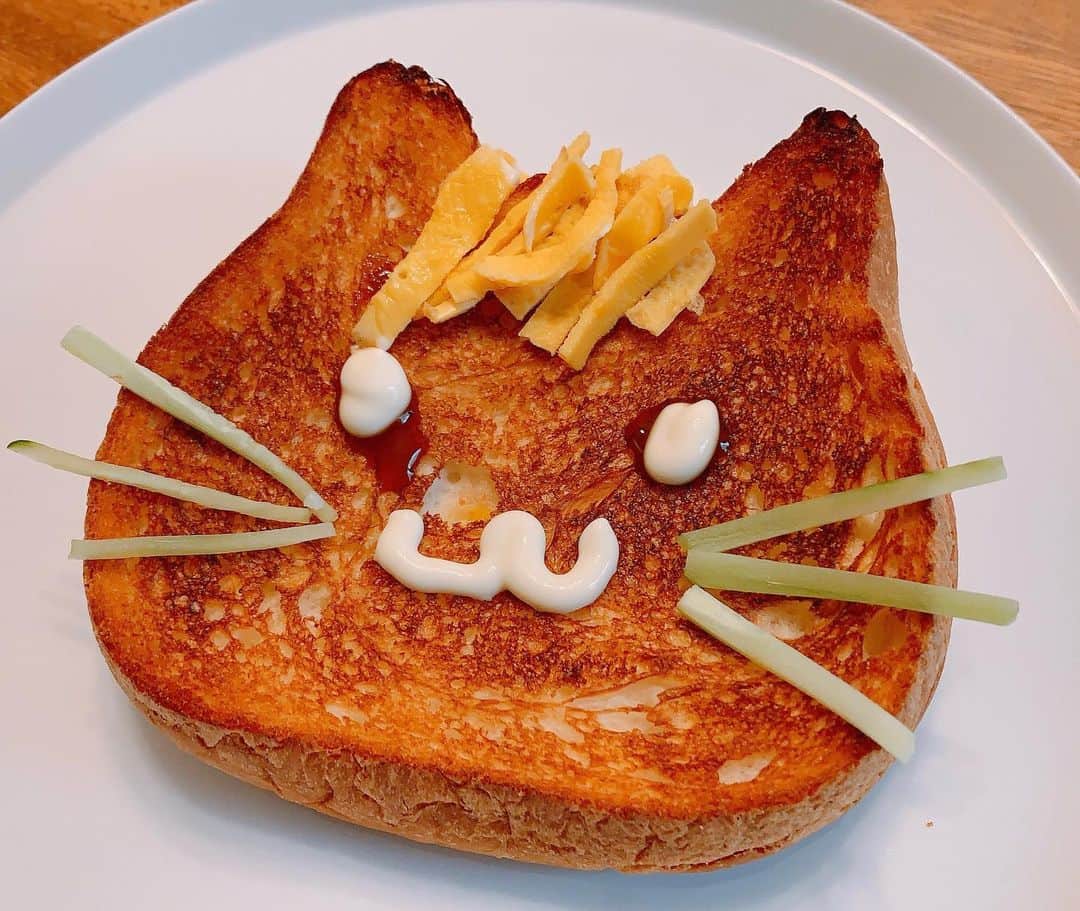 金子貴俊のインスタグラム：「中途半端な仕上がりの #ねこねこ食パン  もう少し映える盛り付けできる様にしないとな。 うん、考えよー」