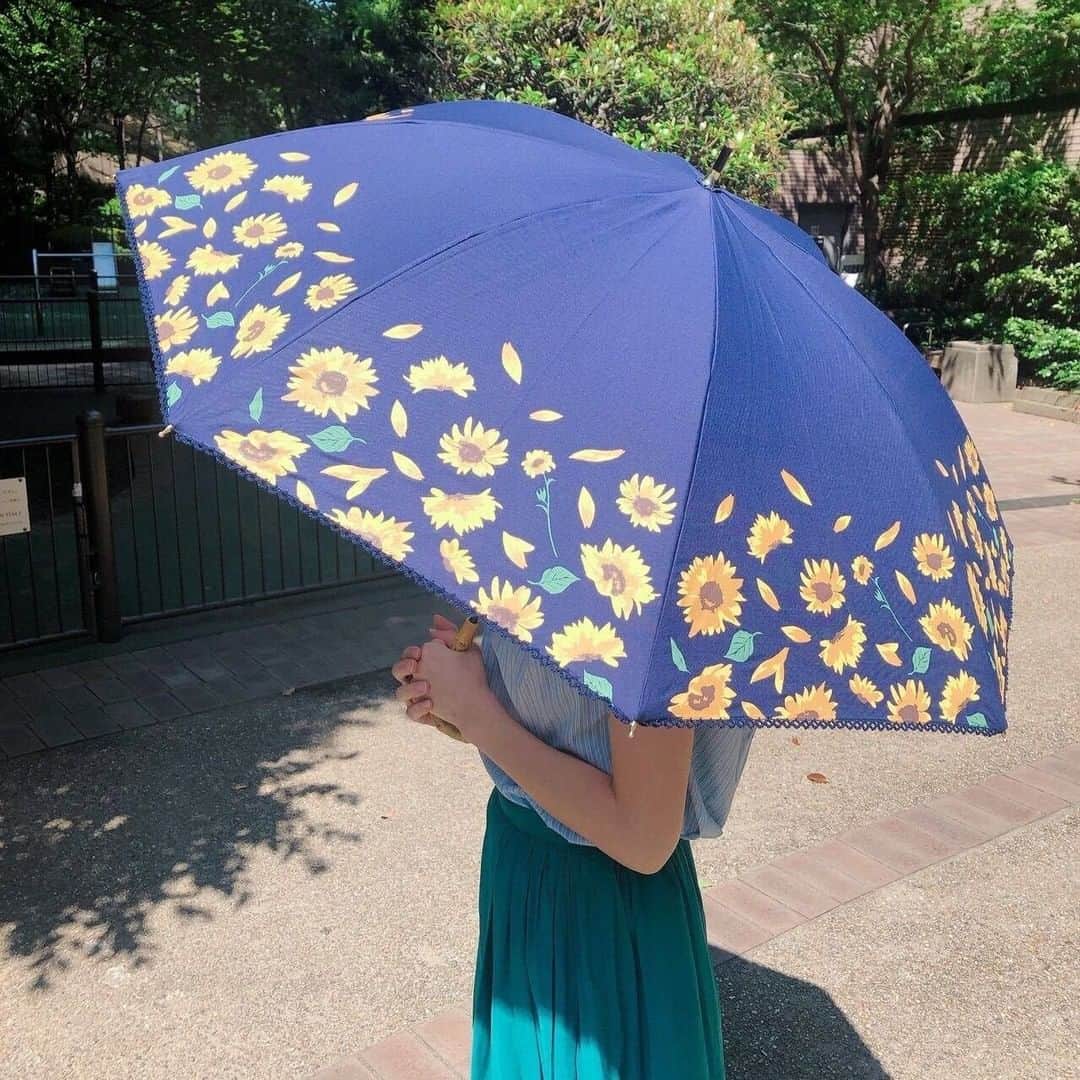 Cocoonistさんのインスタグラム写真 - (CocoonistInstagram)「夏にぴったりなひまわり柄の日傘が登場🌻カバー範囲の広い長傘と持ち歩きに便利な折りたたみの2種類をご用意しました♪晴雨兼用だから急な雨が多い今の時期にも大活躍しますよ👍🥰 ・ 順次発売中😉 ・ #Cocoonist #コクーニスト #ヒマワリ #ひまわり #sunflower #サマーアイテム #ヒマワリデザイン #ヒマワリ柄 #フラワー柄 #sunbrella #日傘 #雨傘 #長傘 #晴雨兼用 #晴雨兼用傘 #折りたたみ傘 #折りたたみ傘ケース #日傘女子 #日焼け防止 #日傘コーデ #梅雨 #梅雨アイテム #梅雨コーデ #雨の日 #雨の日コーデ #夏ファッション #サマーコーデ #夏コーデ #夏カラー」6月28日 15時00分 - cocoonist_official