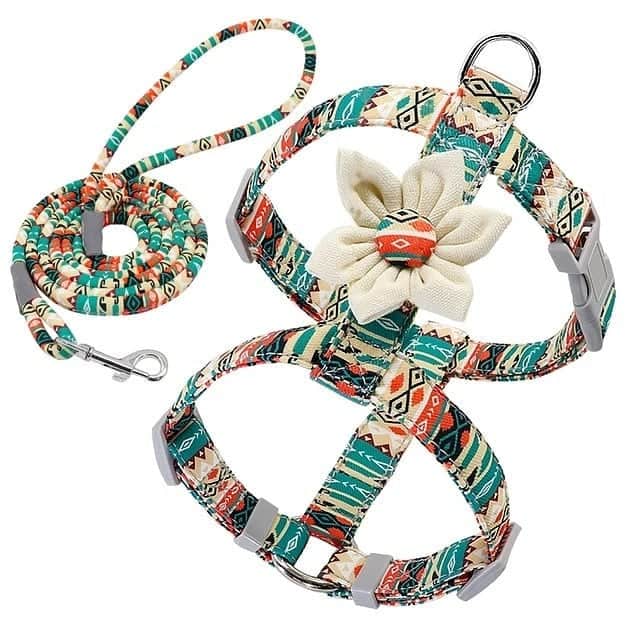 French Bulldogさんのインスタグラム写真 - (French BulldogInstagram)「Gerbera Daisy French Bulldog Harness and Leash 🌼🌼🌼 LINK IN BIO 🔝🔝🔝 ... If you want to add a lovely floral harness to your little princess’ collection of accessories, then you’ll love our Gerbera Daisy French Bulldog Harness. It comes with a matching leash and the cut is carefully crafted to suit the French bulldog breed. . . . . . #frenchie #frenchies  #französischebulldogge #frenchbulldog #frenchbulldogs #dog #dogsofinstagram #frenchies1 #bully #bulldog #bulldogfrances #フレンチブルドッグ #フレンチブルドッグ #フレブル #ワンコ #frenchiesgram #frenchbulldogsofinstagram #ilovemyfrenchie #batpig #buhi #squishyfacecrewbulldog」6月28日 6時57分 - frenchie.world