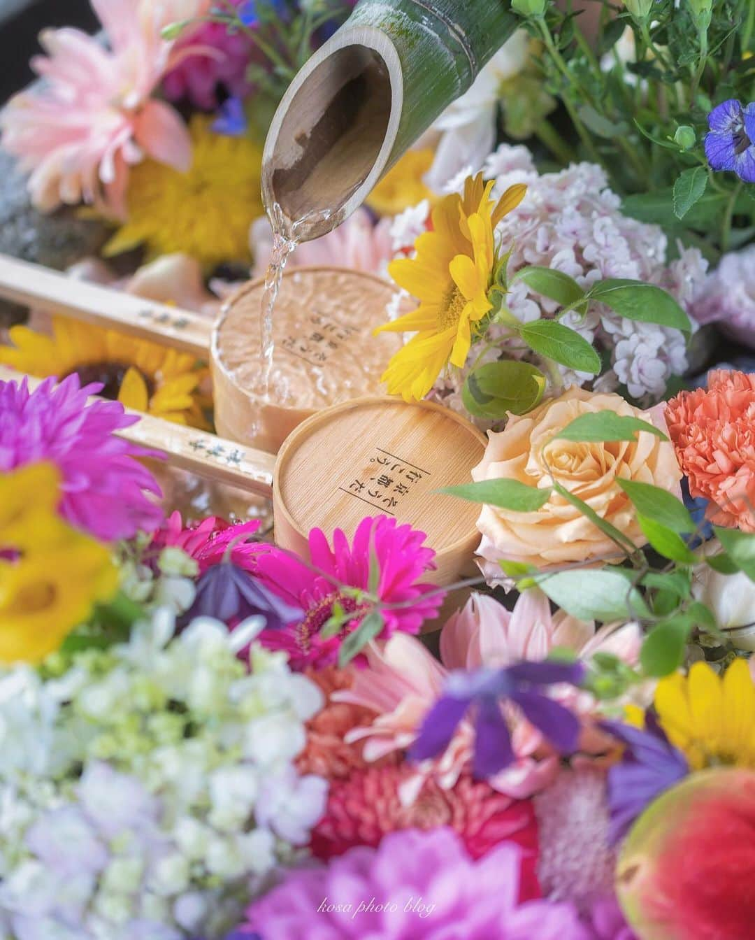 コサさんのインスタグラム写真 - (コサInstagram)「勝林寺の花手水、めっちゃ綺麗でした😍 向日葵もあって夏のイメージでした🌻 いや気温も30度… 夏でした😅 珍しく枚数多めの複数枚のpostです🙋‍♂️ . Location:京都 Kyoto / Japan🇯🇵 Date:2020.6.27 . #勝林寺 #花手水 #向日葵 #紫陽花 #ダリア #Japan_Daytime_View #s_shot #はなまっぷ #1x_japan #IGersJP #art_of_japan_ #tokyocameraclub #dpj_member #IG_PHOS #photo_jpn #ptk_japan #pt_life_ #bestjapanpics #Rox_Captures #kf_gallery_vip #special_spot_vip #YourShotPhotographer #Impressive_gallery #light_nikon #sorakataphoto #LBJ_VIP #広がり同盟メンバー #nipponpic_member #japan_of_insta #bestphoto_japan」6月28日 7時24分 - kosa_photo